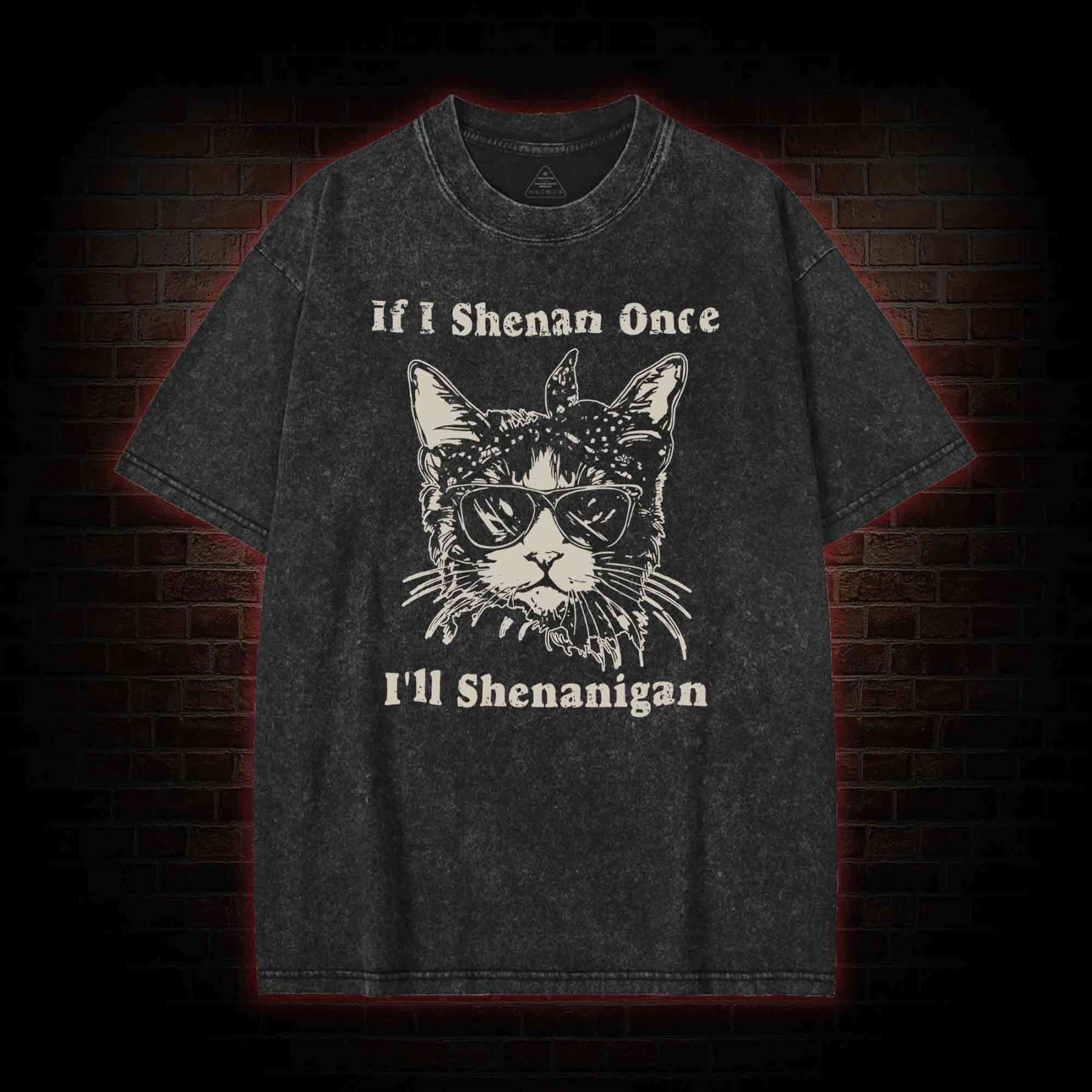 If I Shenan Once I'll Shenanigan Washed T-shirt