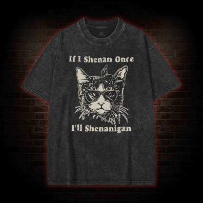 If I Shenan Once I'll Shenanigan Washed T-shirt