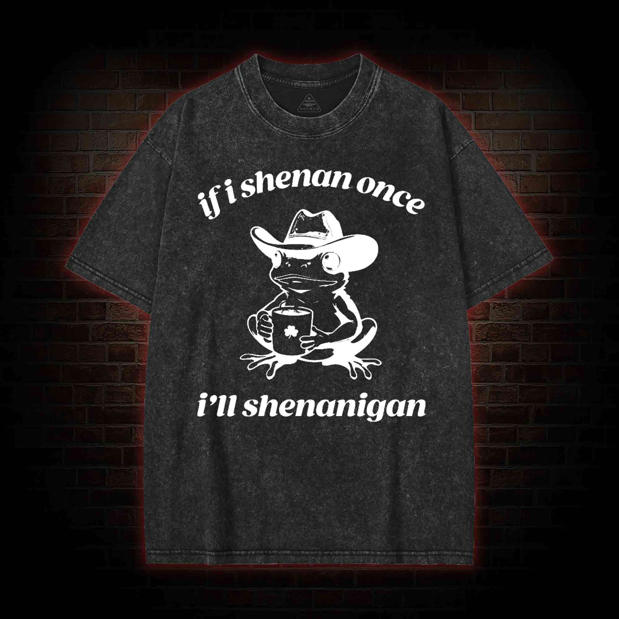 If I Shenan Once I'll Shenanigan Washed T-shirt