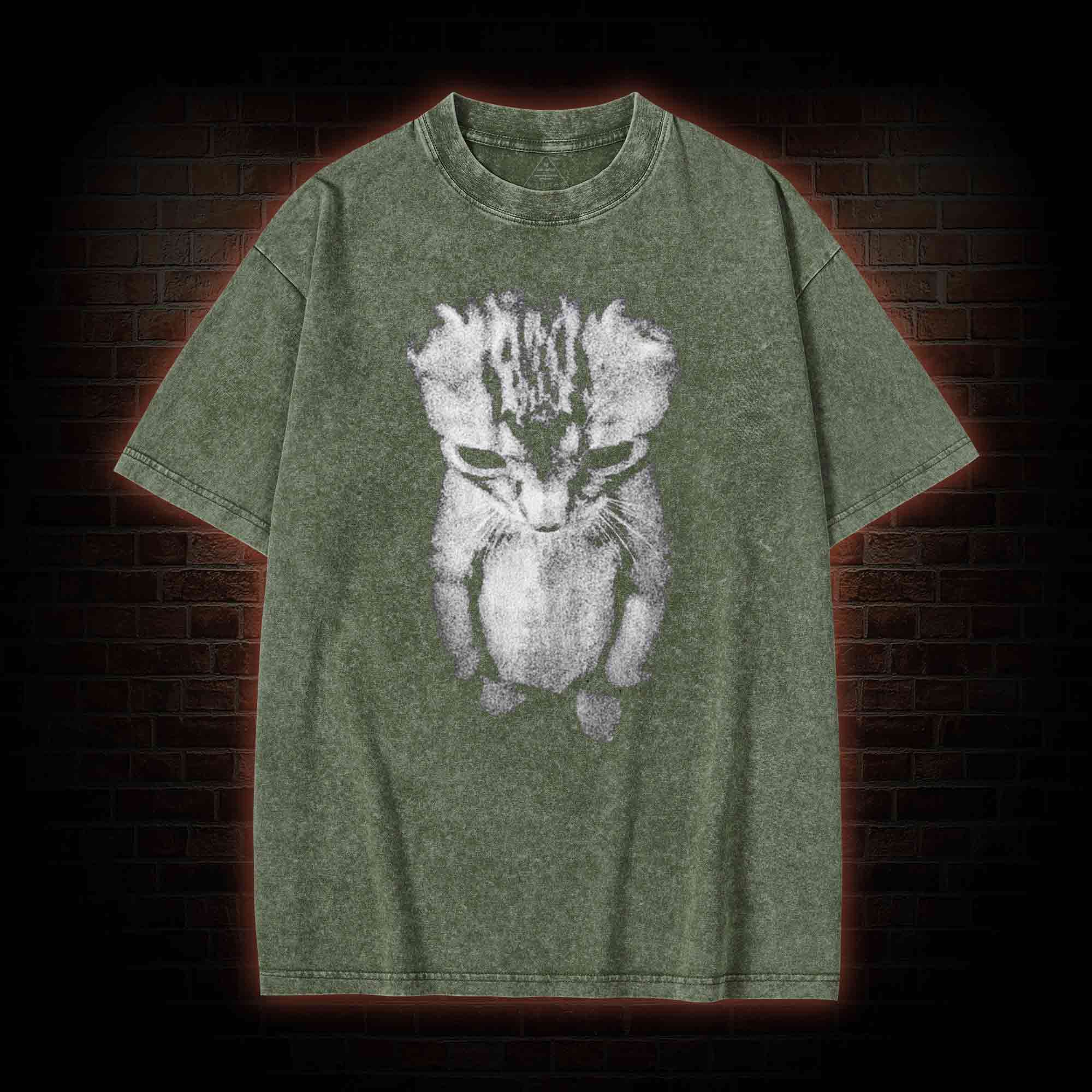 Sad Kitten Meme Standing Cat Washed T-shirt