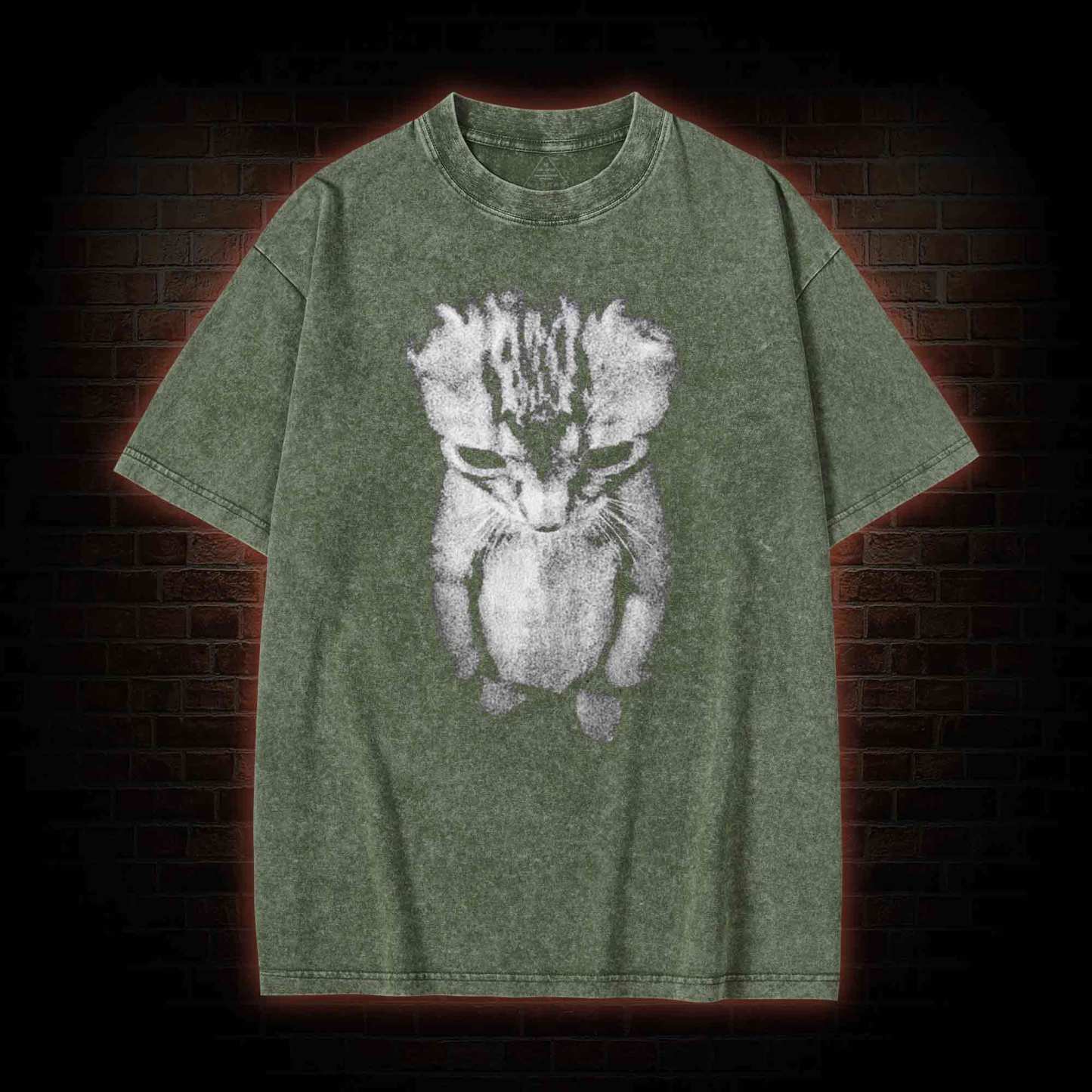 Sad Kitten Meme Standing Cat Washed T-shirt