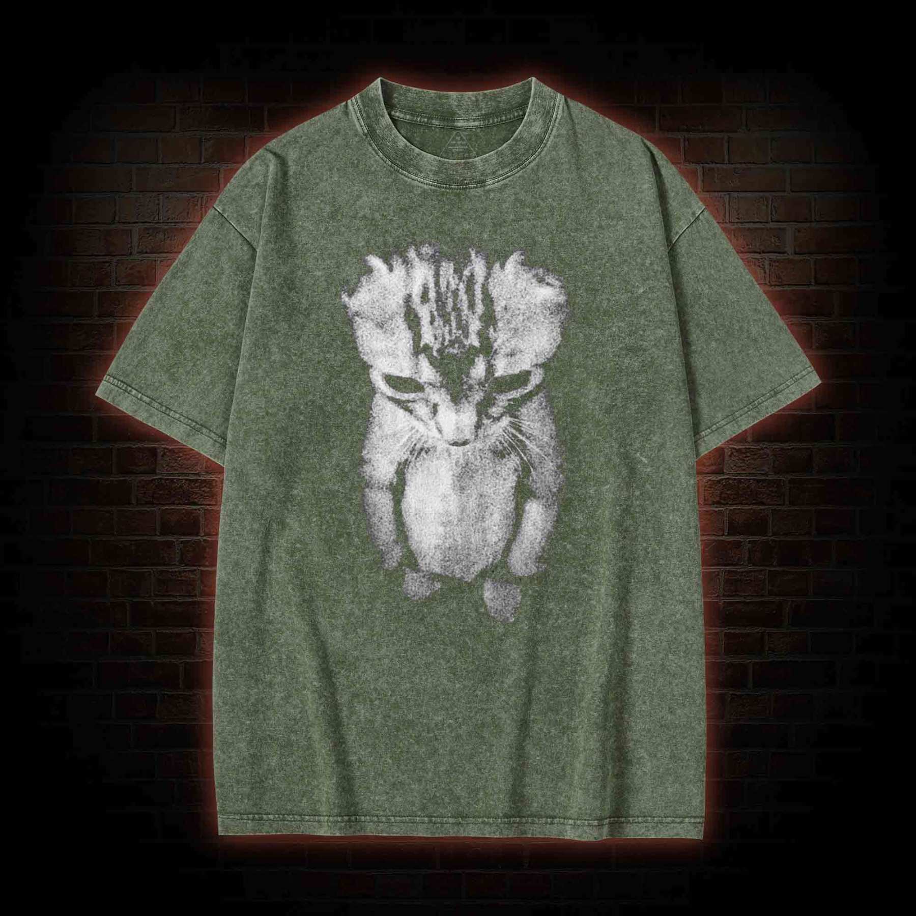 Sad Kitten Meme Standing Cat Washed T-shirt