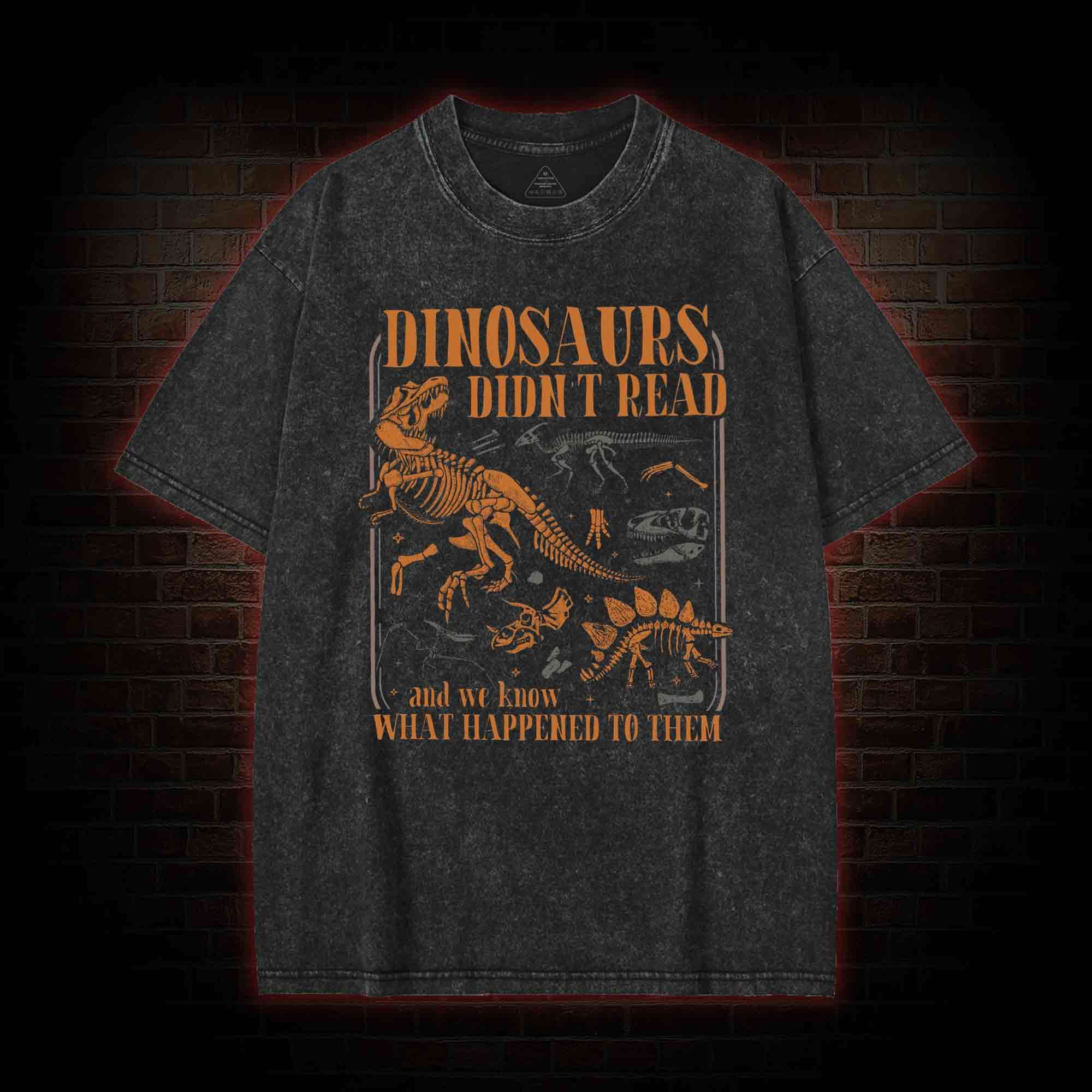 Dinosaurs didn't Read Washed T-shirt