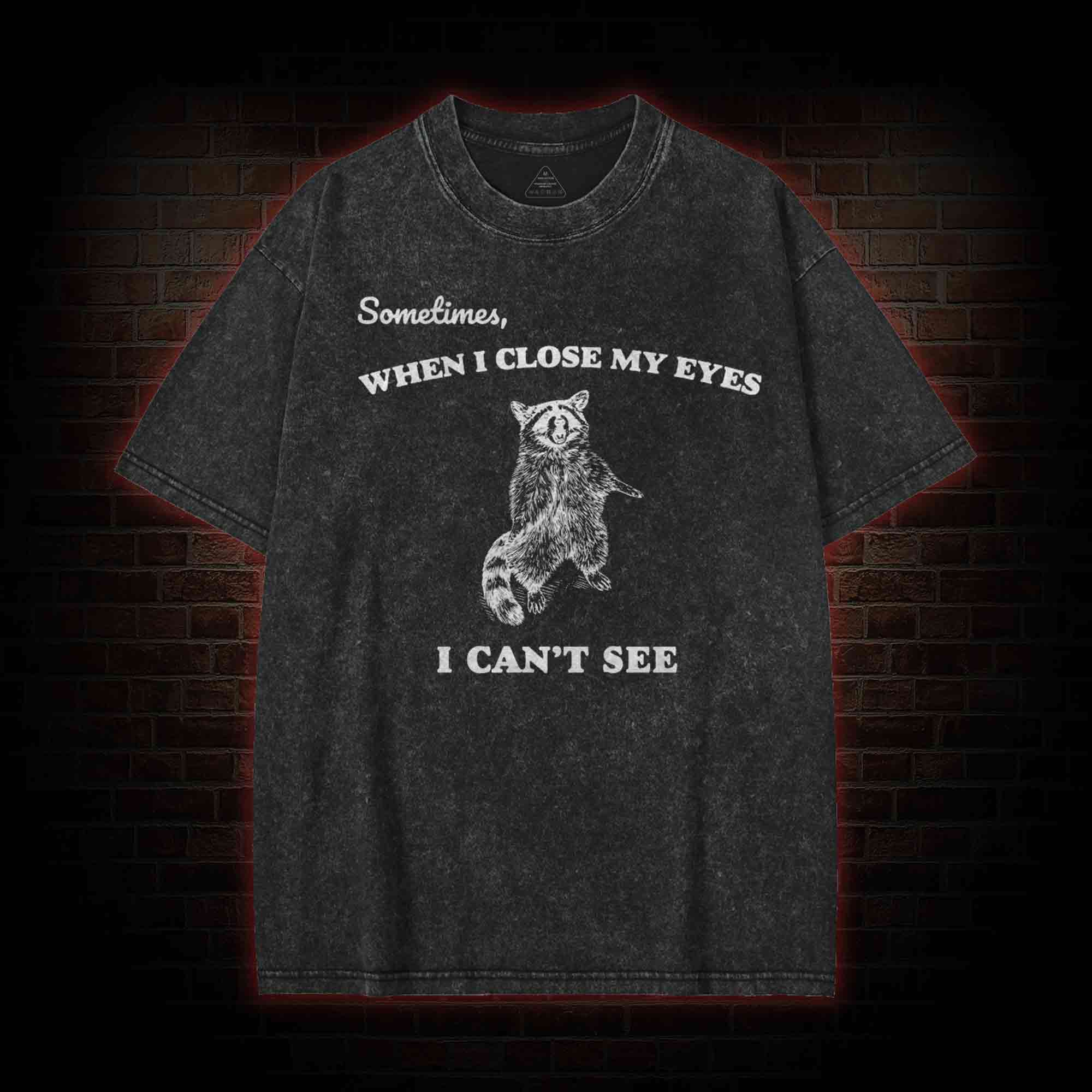 Sometimes When I Close My Eyes I Can't See Washed T-shirt