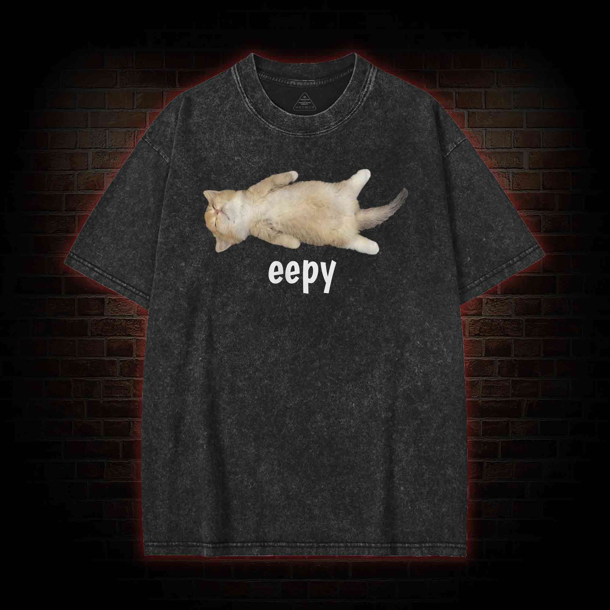Silly Sleepy Cat Washed T-shirt