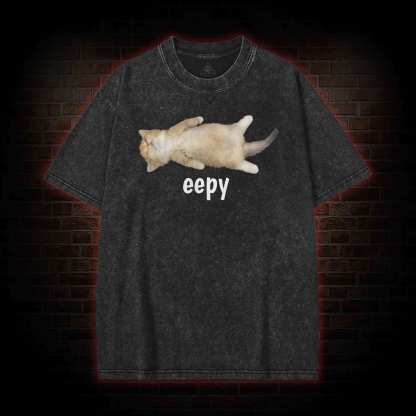 Silly Sleepy Cat Washed T-shirt