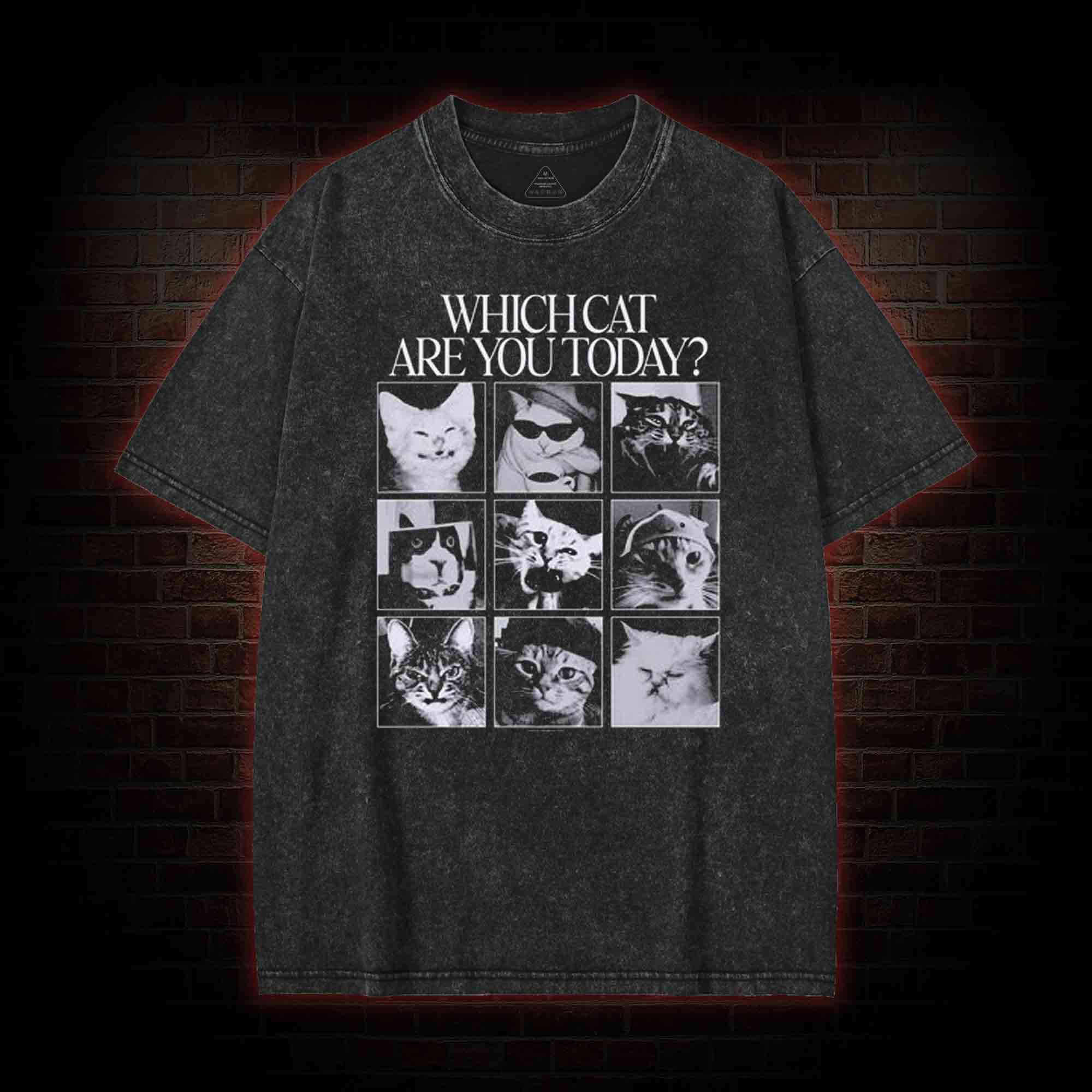 Which Cat are You Today Washed T-shirt