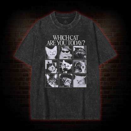 Which Cat are You Today Washed T-shirt
