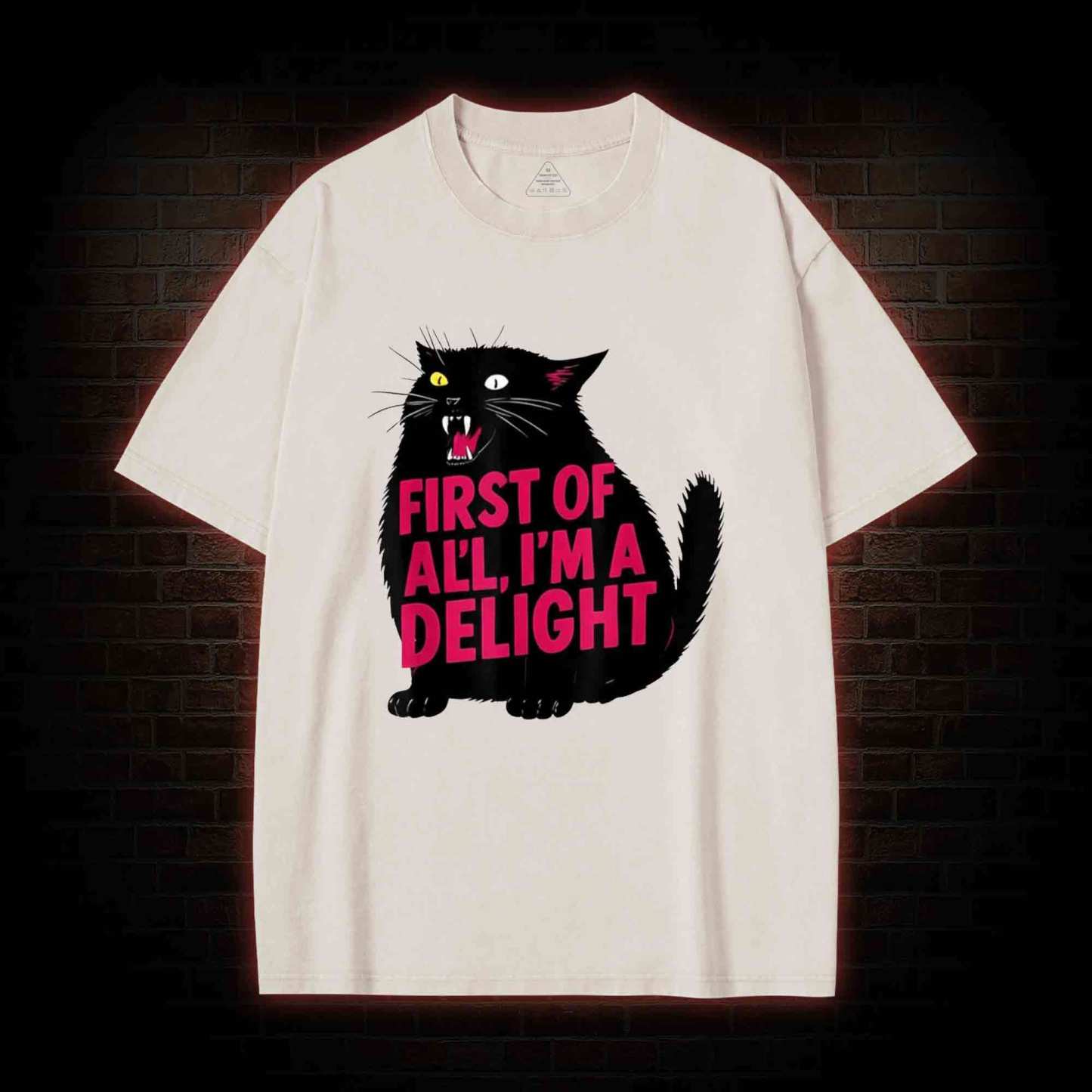 First of all I’m a Delight Washed T-shirt