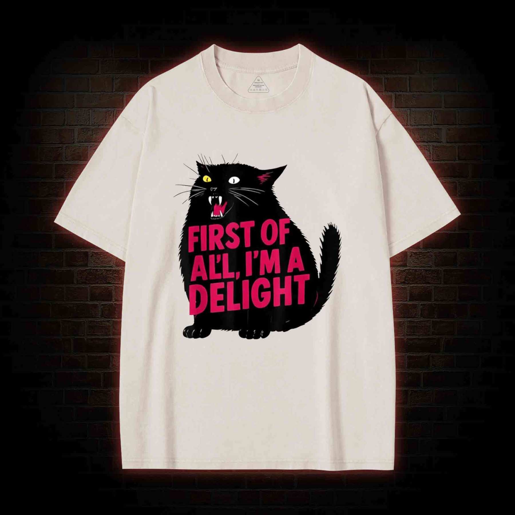 First of all I’m a Delight Washed T-shirt