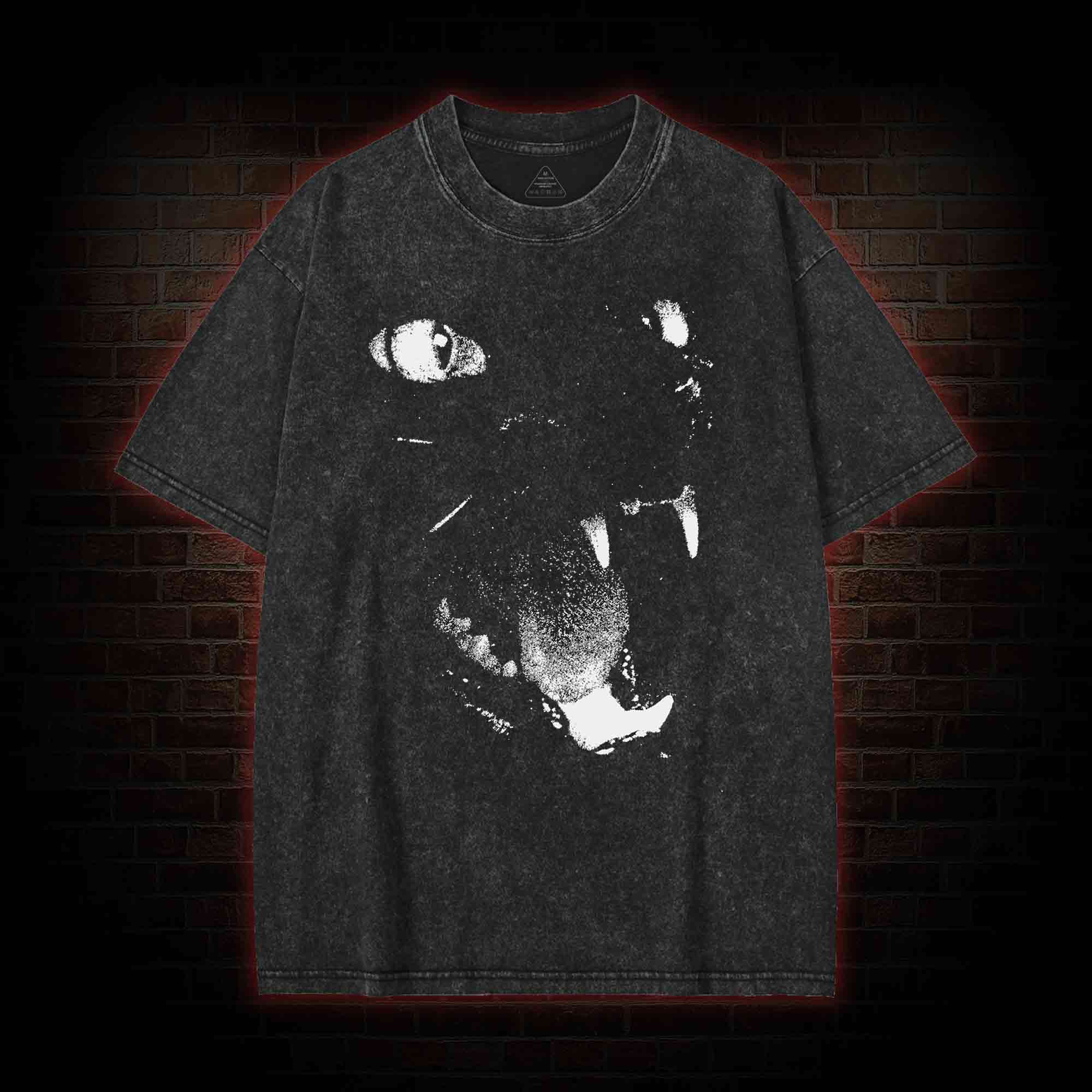 Black Cat Washed T-shirt