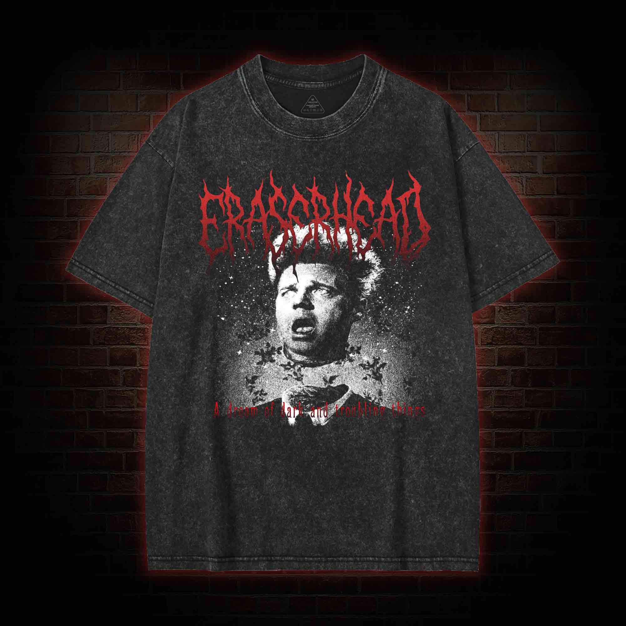 I am in the Dream Washed T-shirt