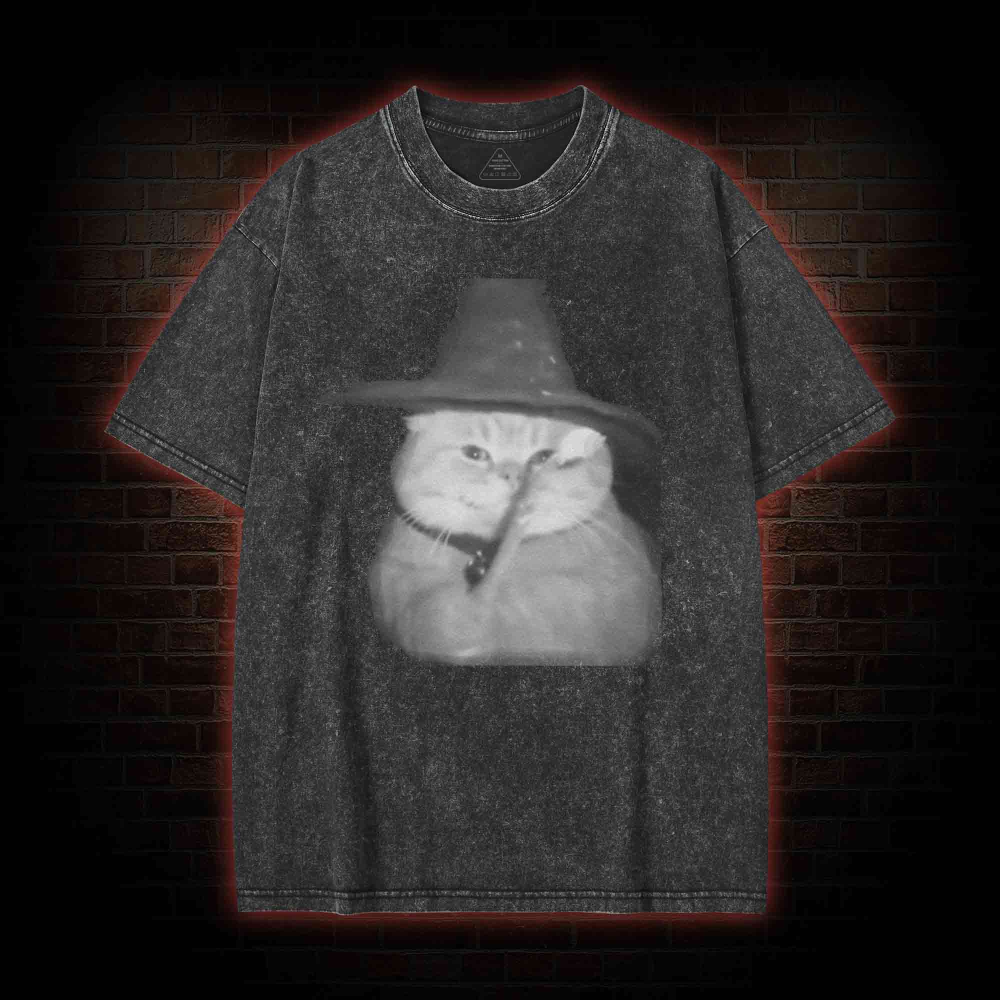 Cat Wizard Meme Washed T-shirt