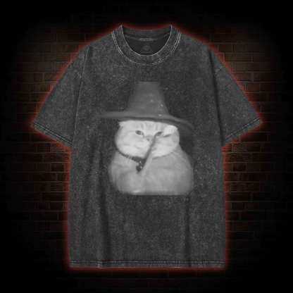 Cat Wizard Meme Washed T-shirt