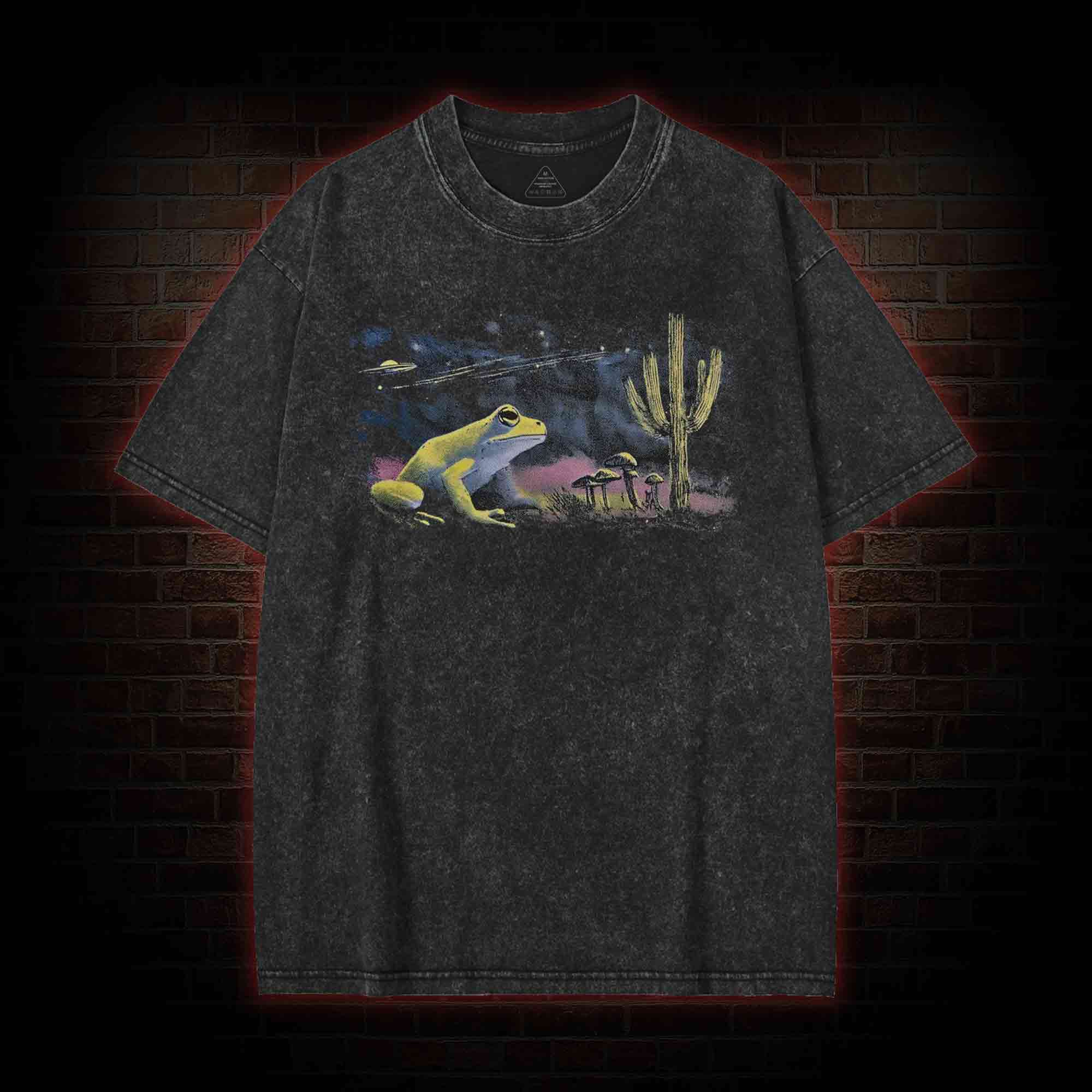 Neon 90s Frog Desert Nights Washed T-shirt