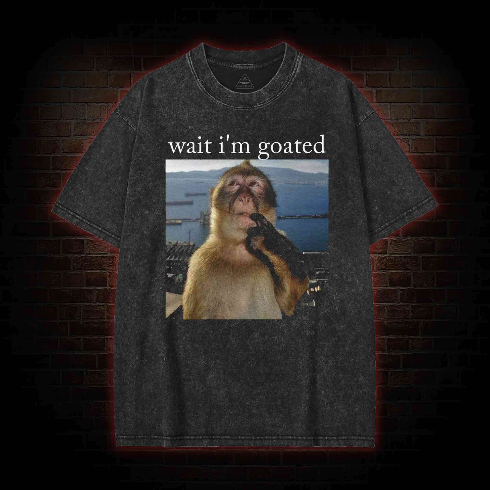 Wait I'm Goated Washed T-shirt