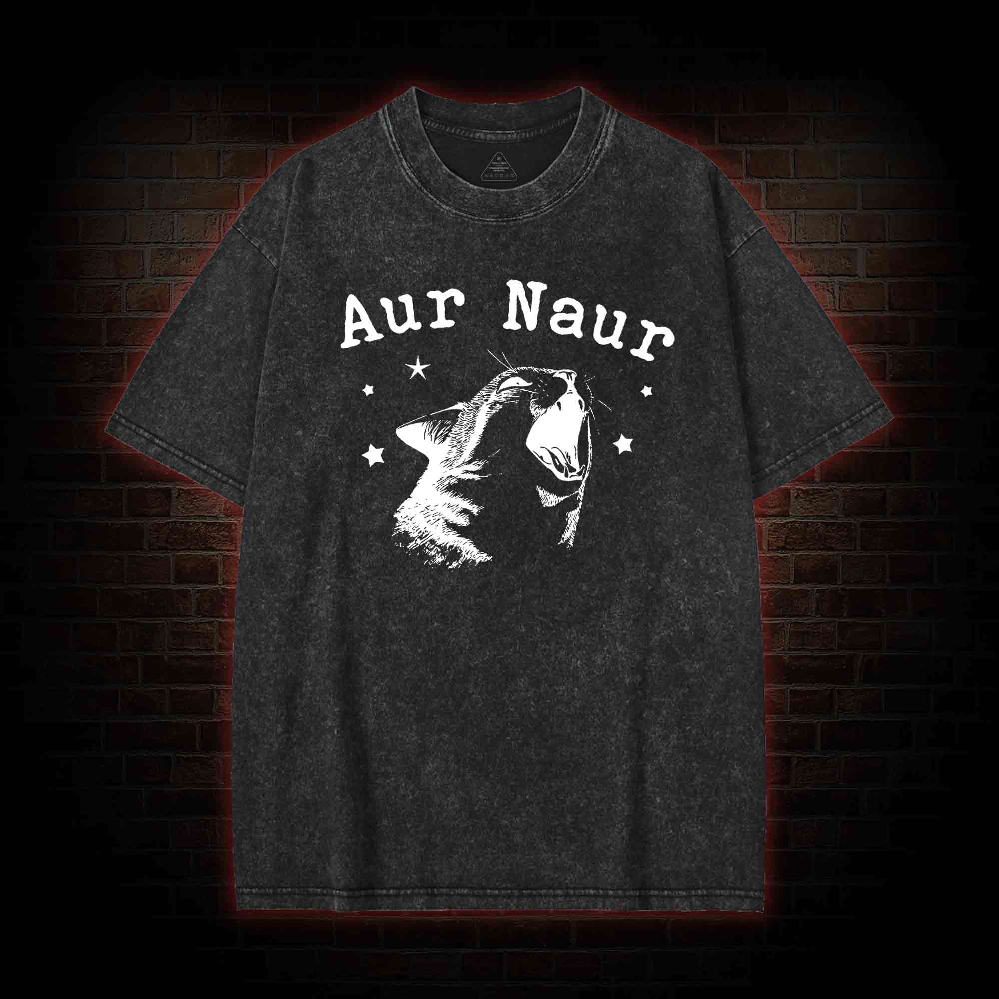 Aur Naur Cat Washed T-shirt