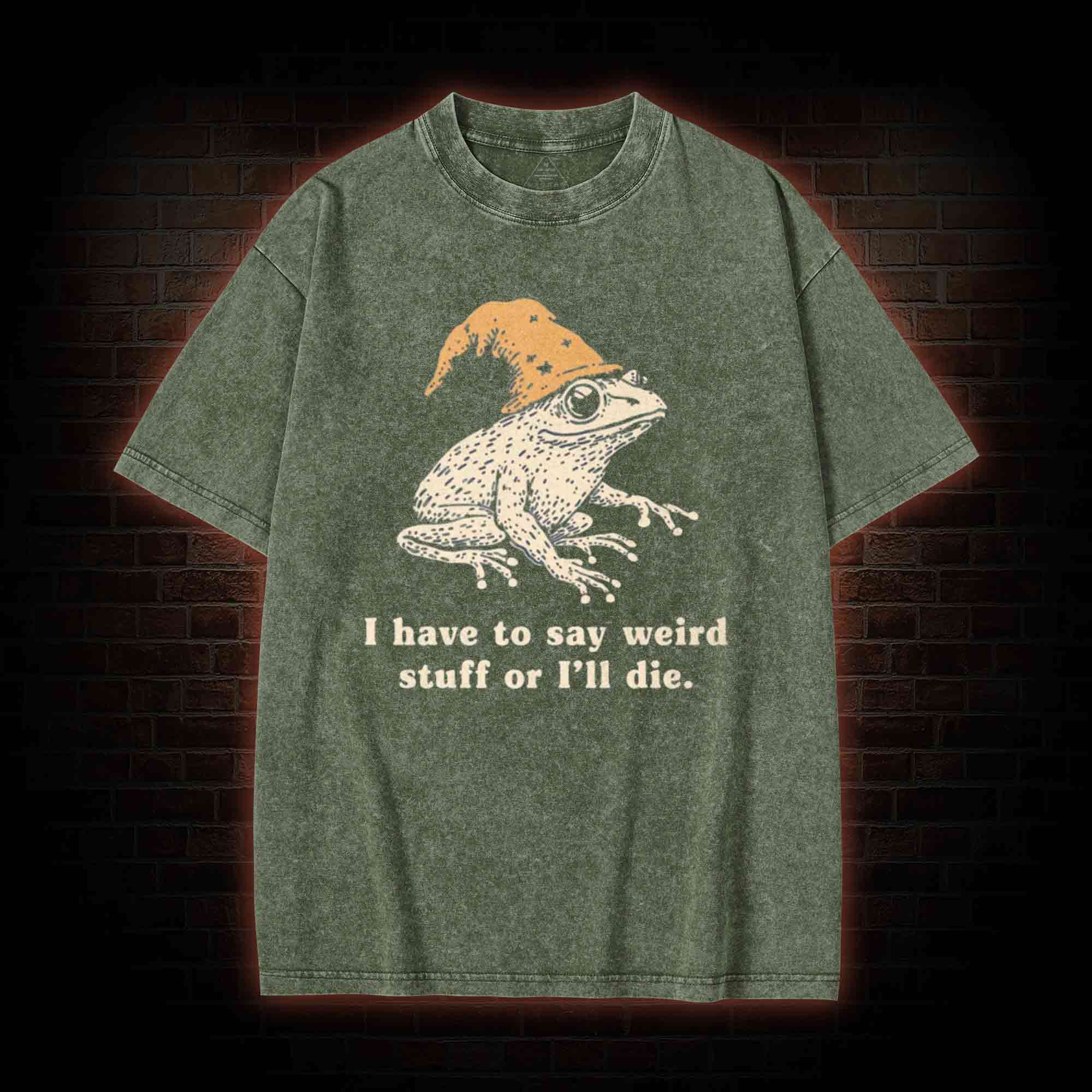 Frog Meme Washed T-shirt