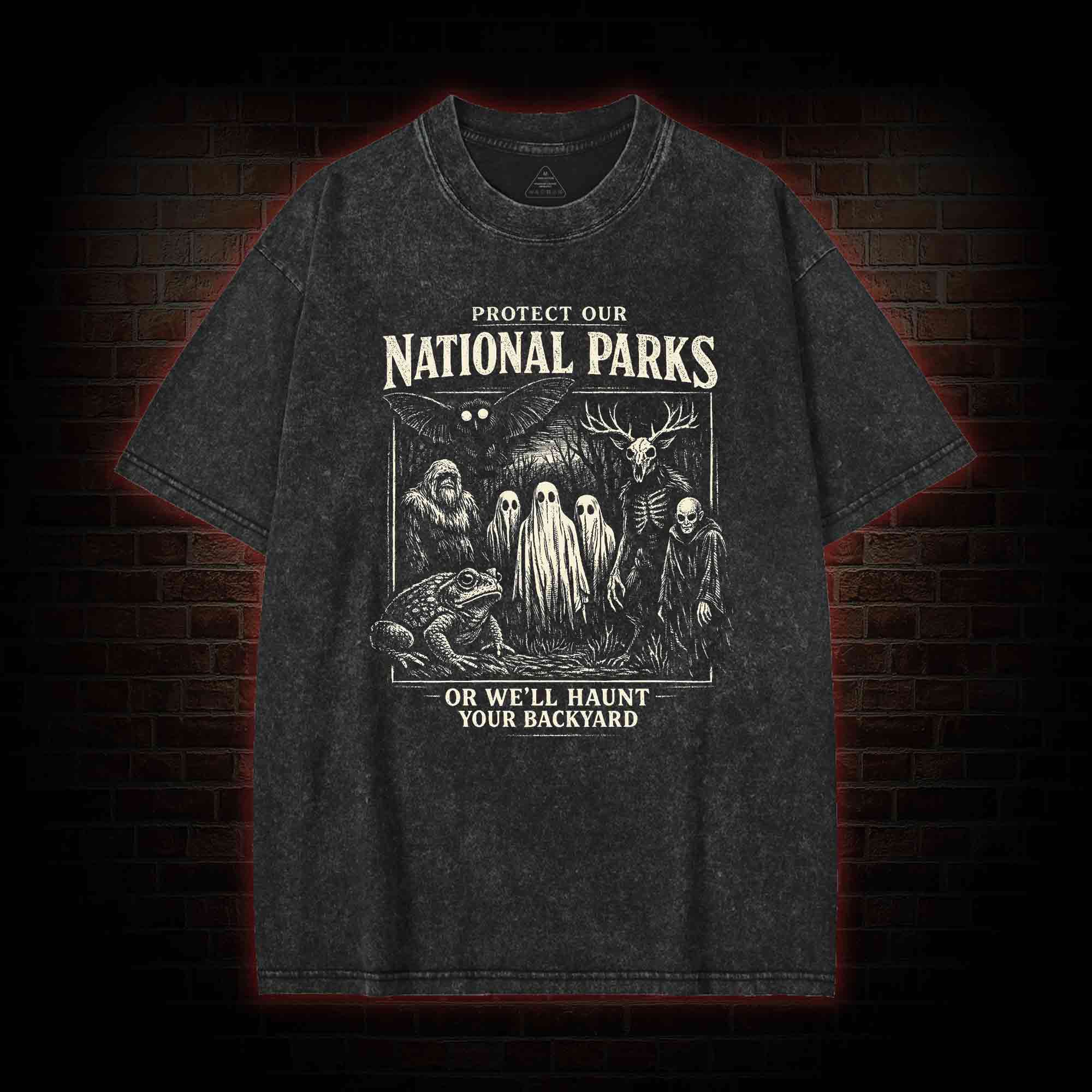 Protect Our National Parks Washed T-shirt