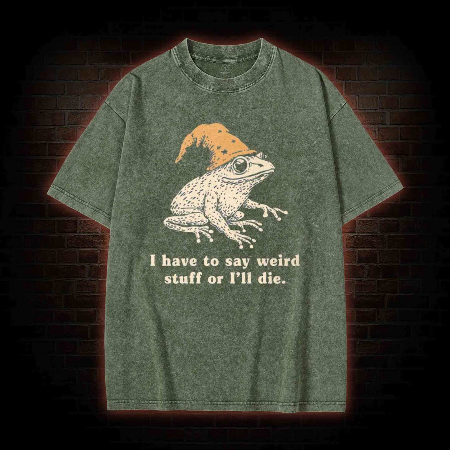 Frog Meme Washed T-shirt