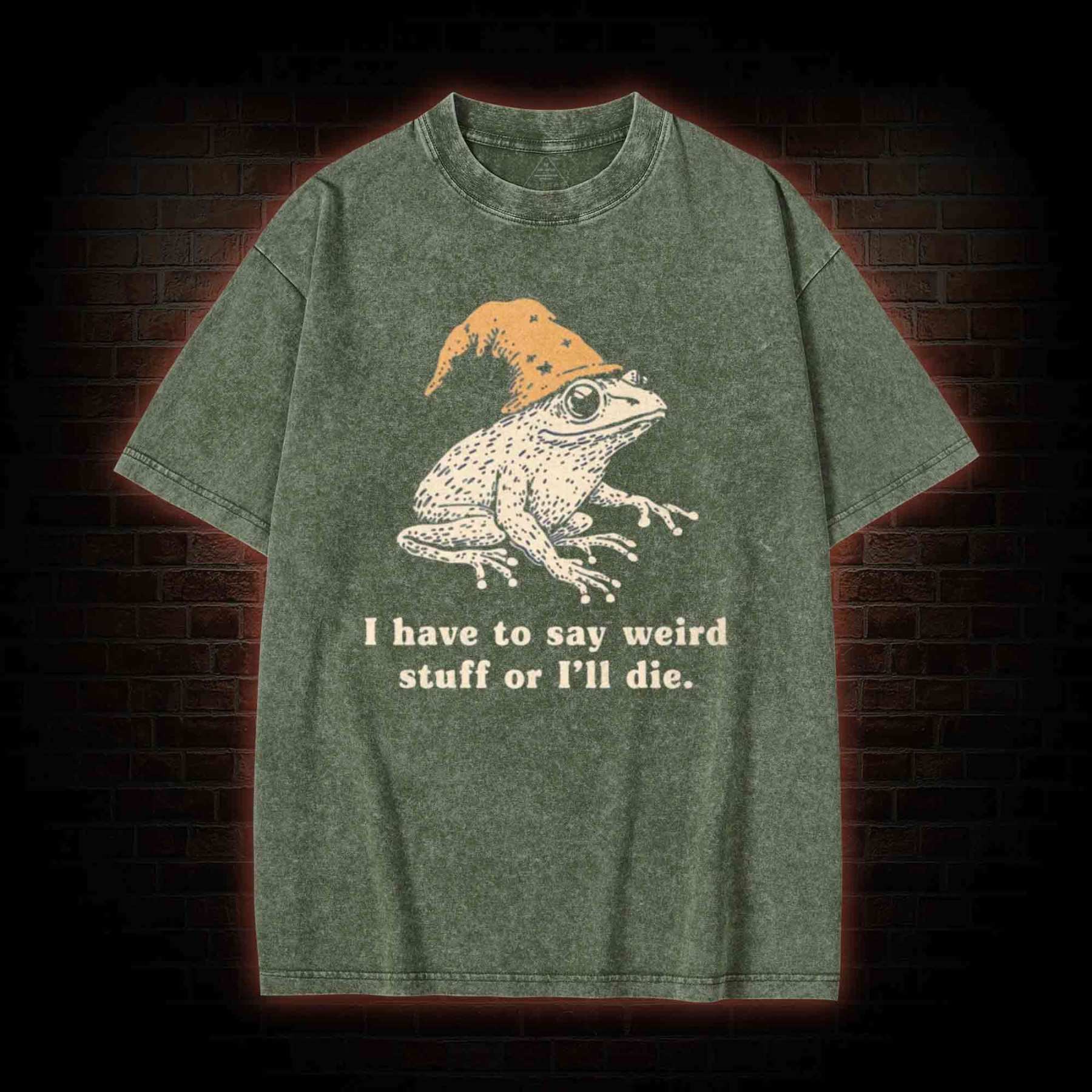 Frog Meme Washed T-shirt