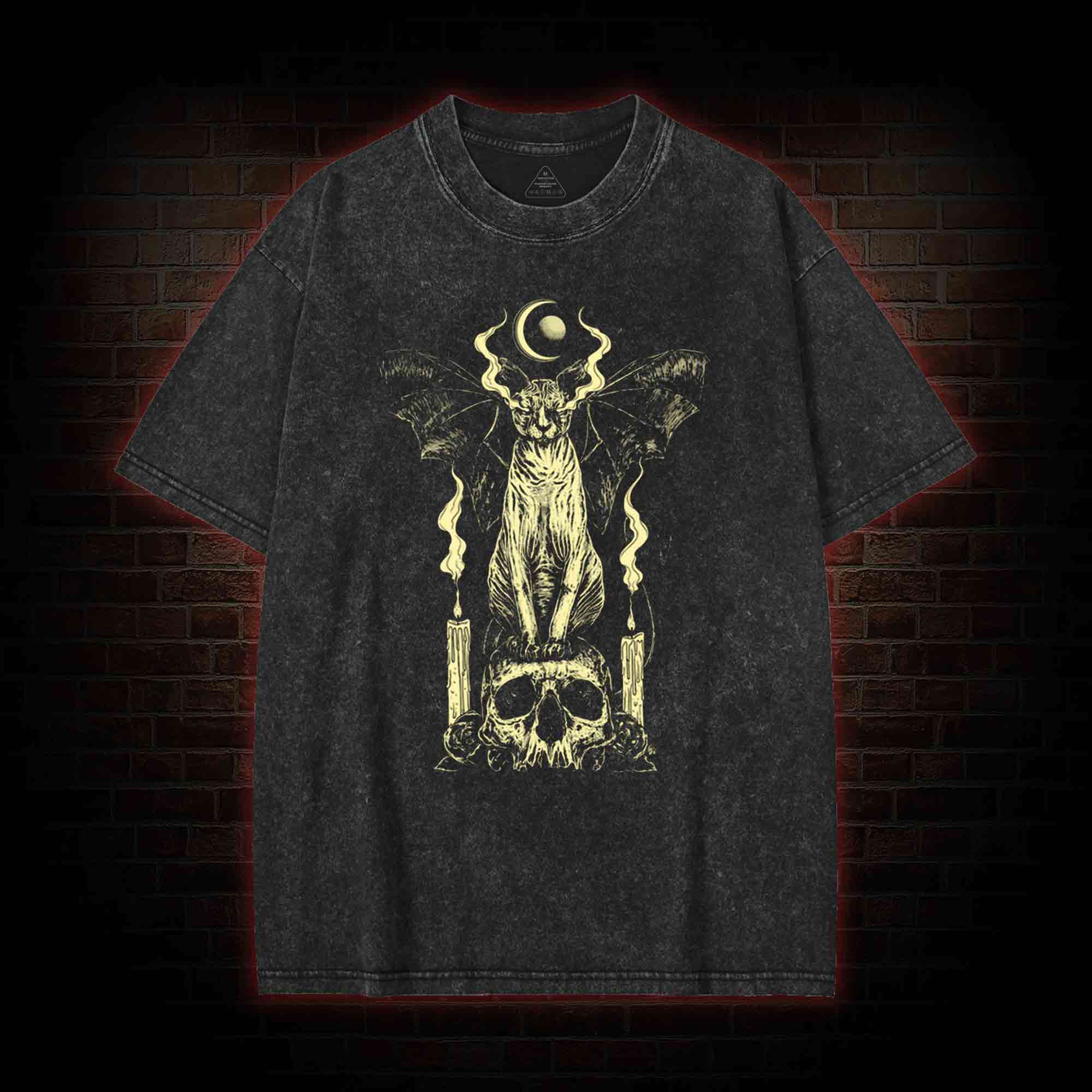 Sphynx Cat Washed T-shirt