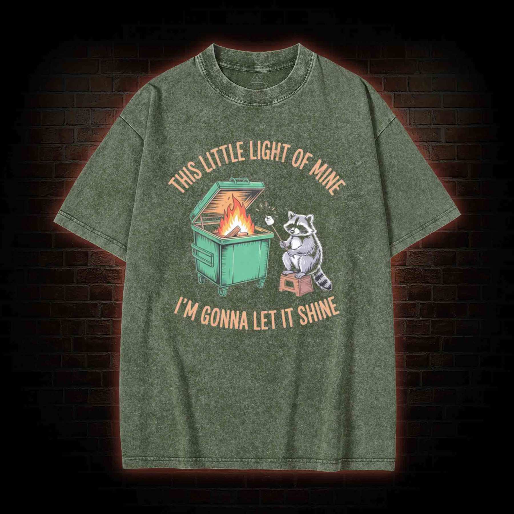 Dumpster Fire Raccoon Washed T-shirt