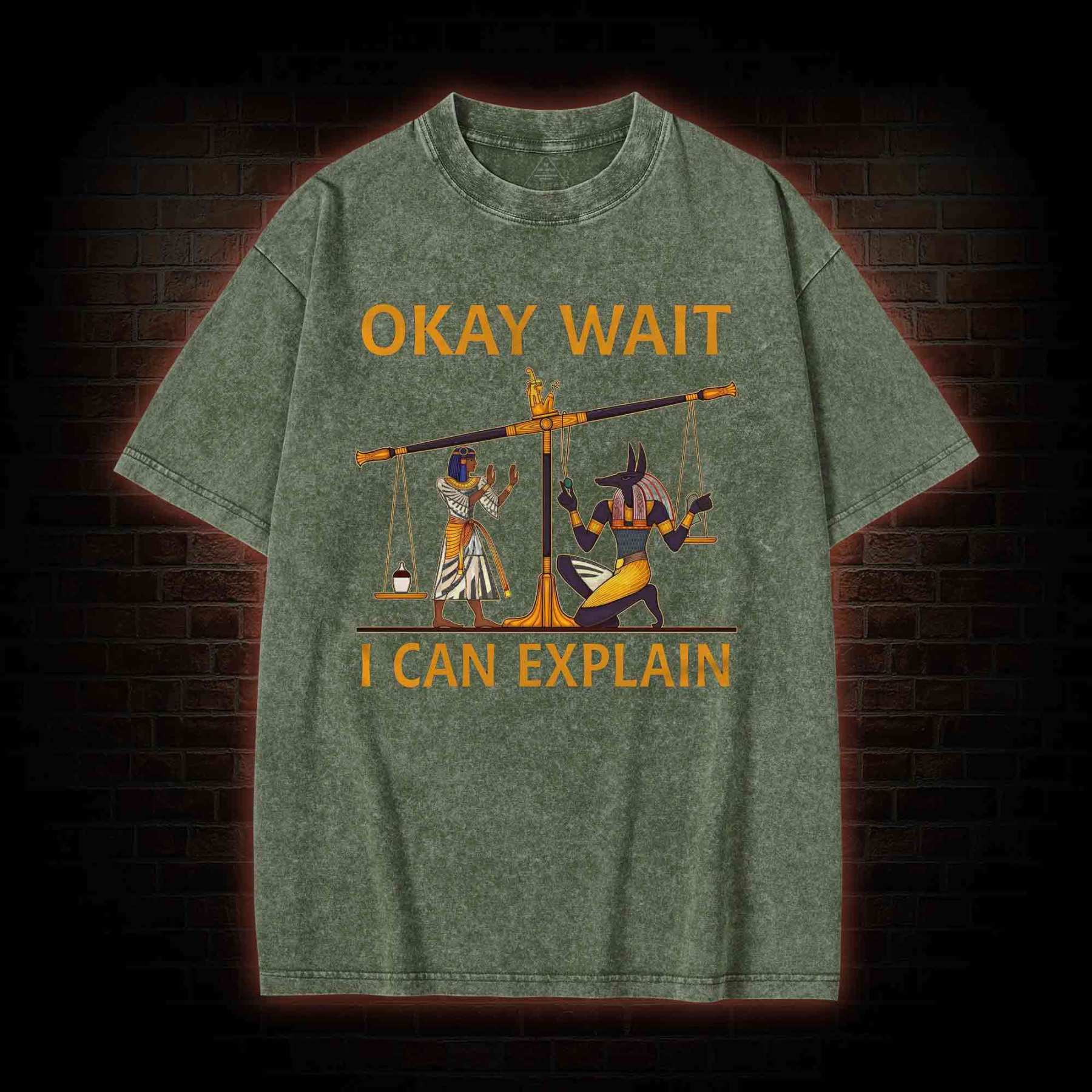 Okay Wait I can Explain Washed T-shirt