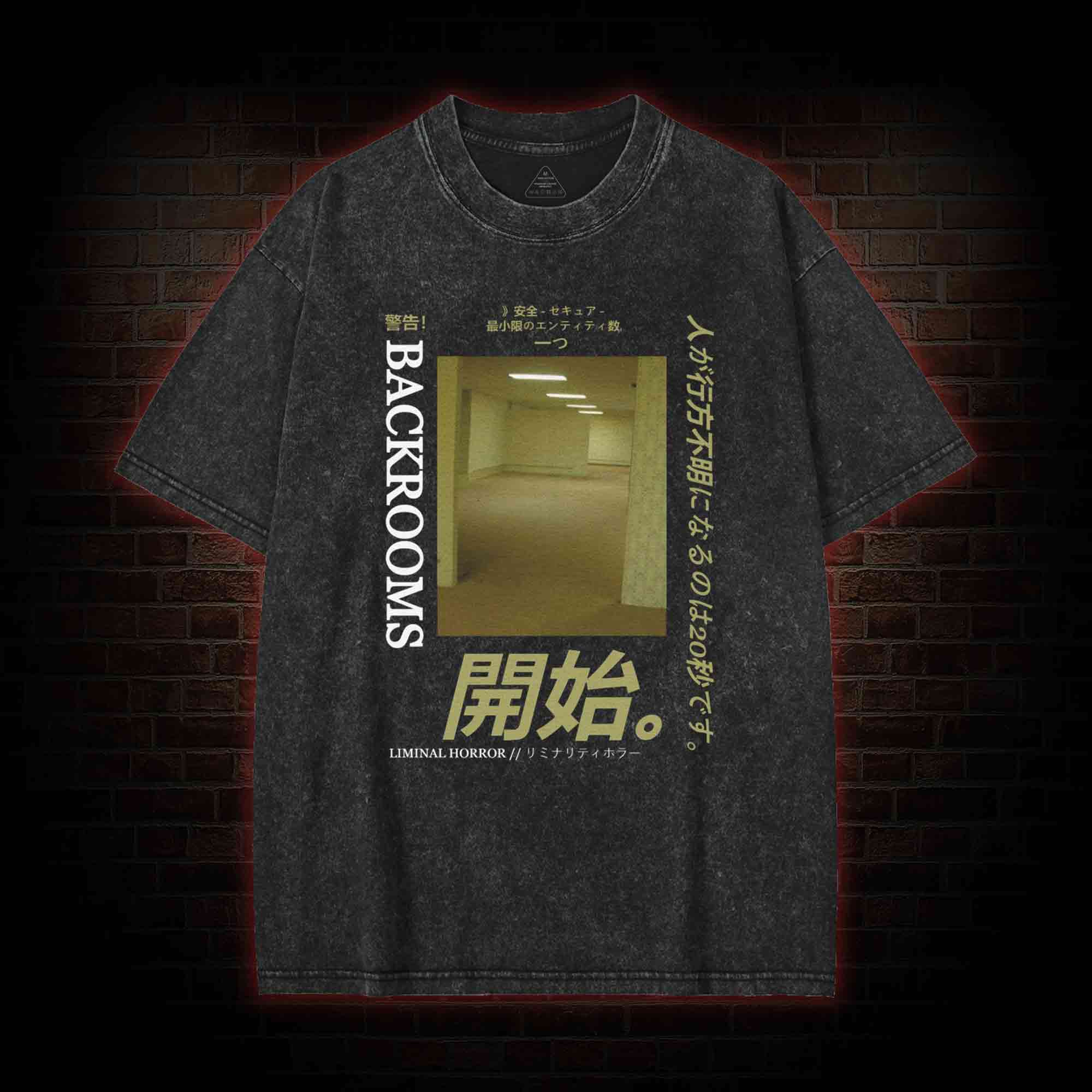 Liminal Horror Washed T-shirt