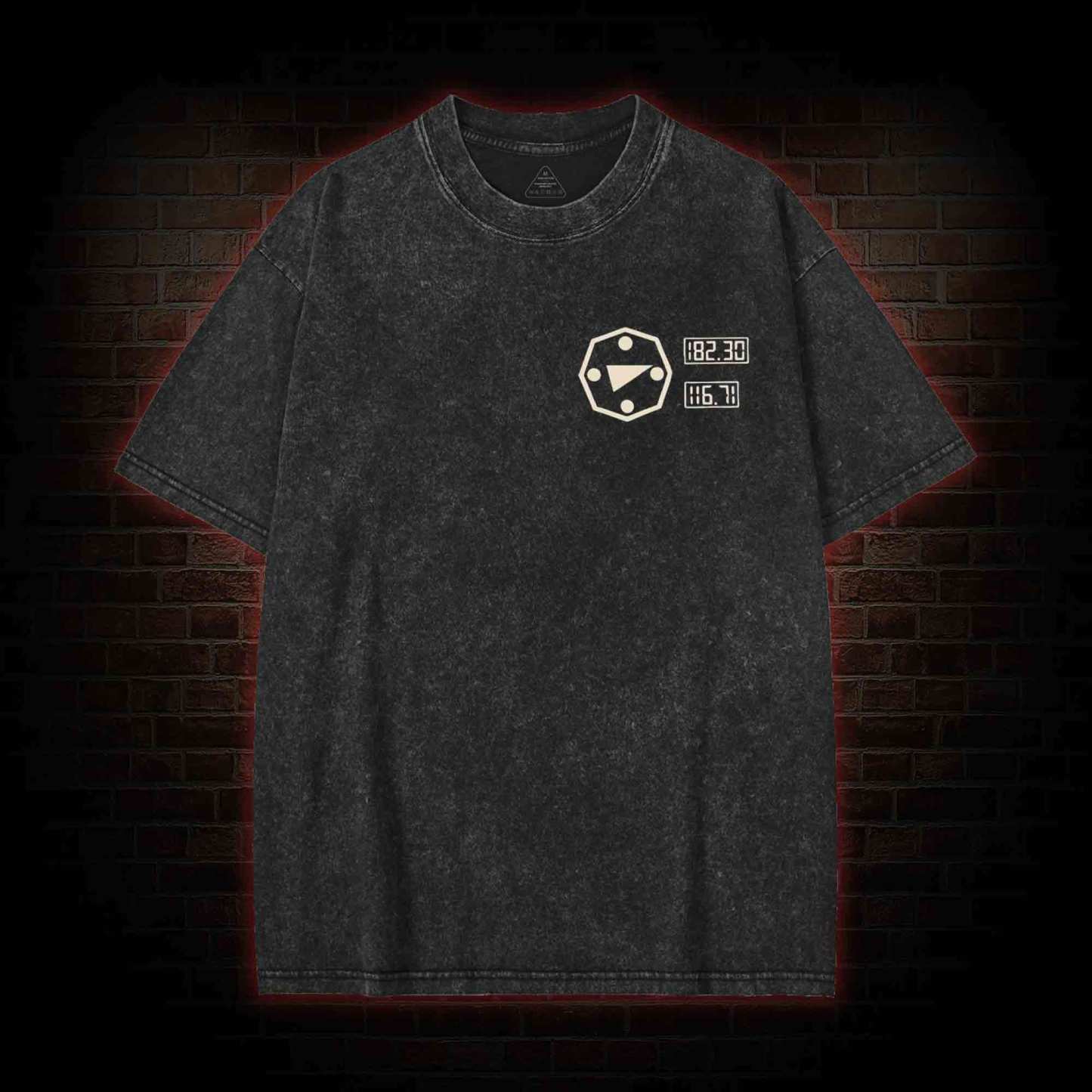 I will Gain My Freedom Washed T-shirt