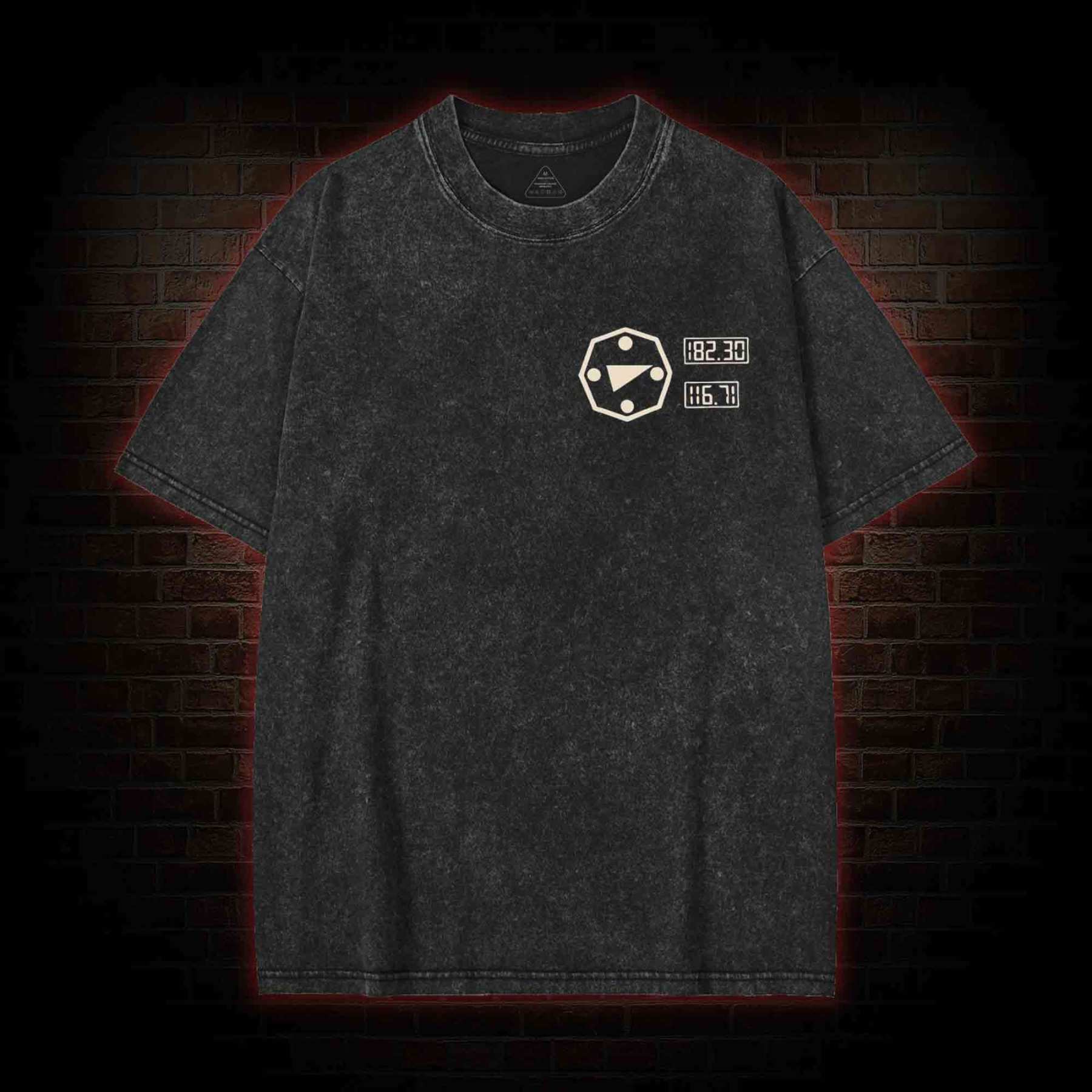 I will Gain My Freedom Washed T-shirt