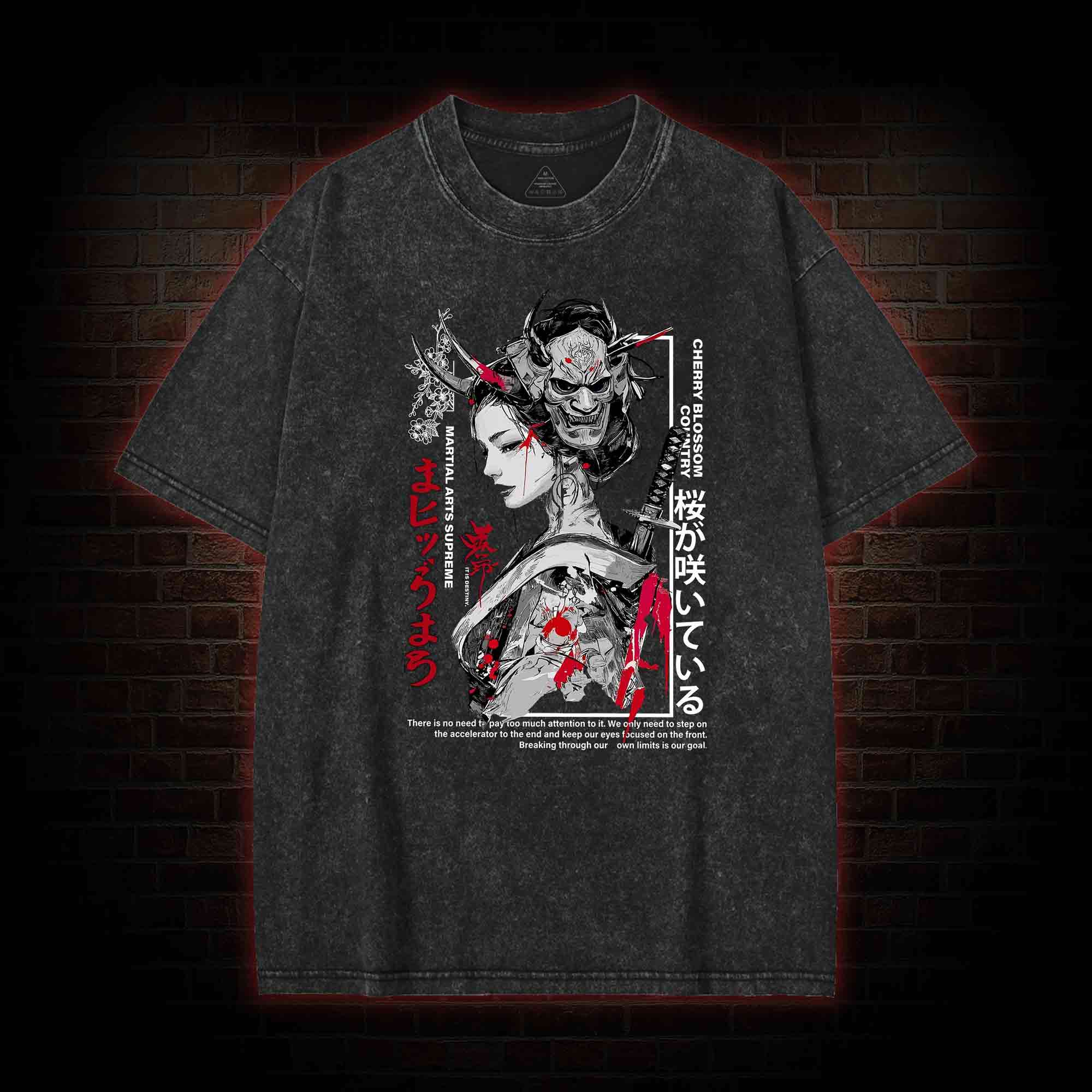 It is Destiny Washed T-shirt