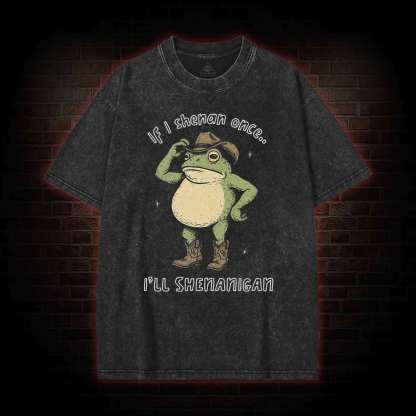 If I Shenan once... I'll Shenanigan Washed T-shirt
