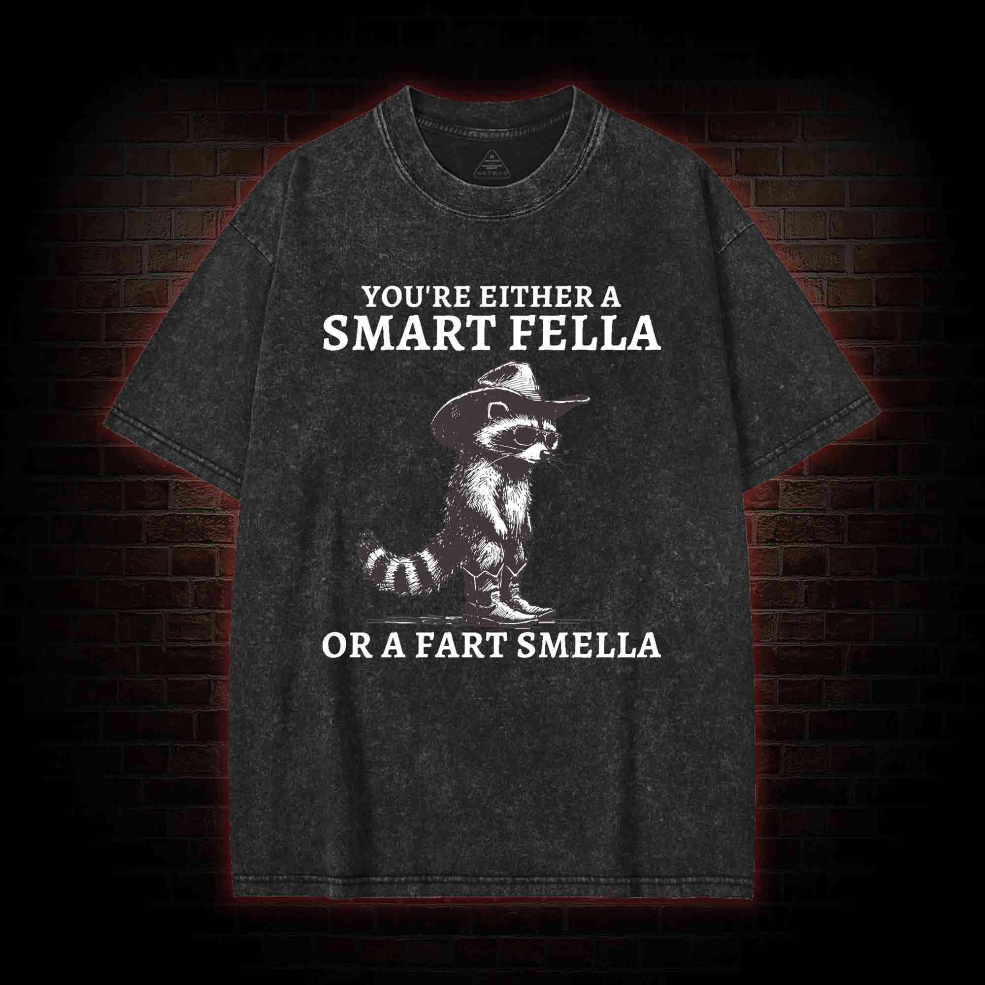 You're Either a Smart Fella or a  Fart Smella Washed T-shirt