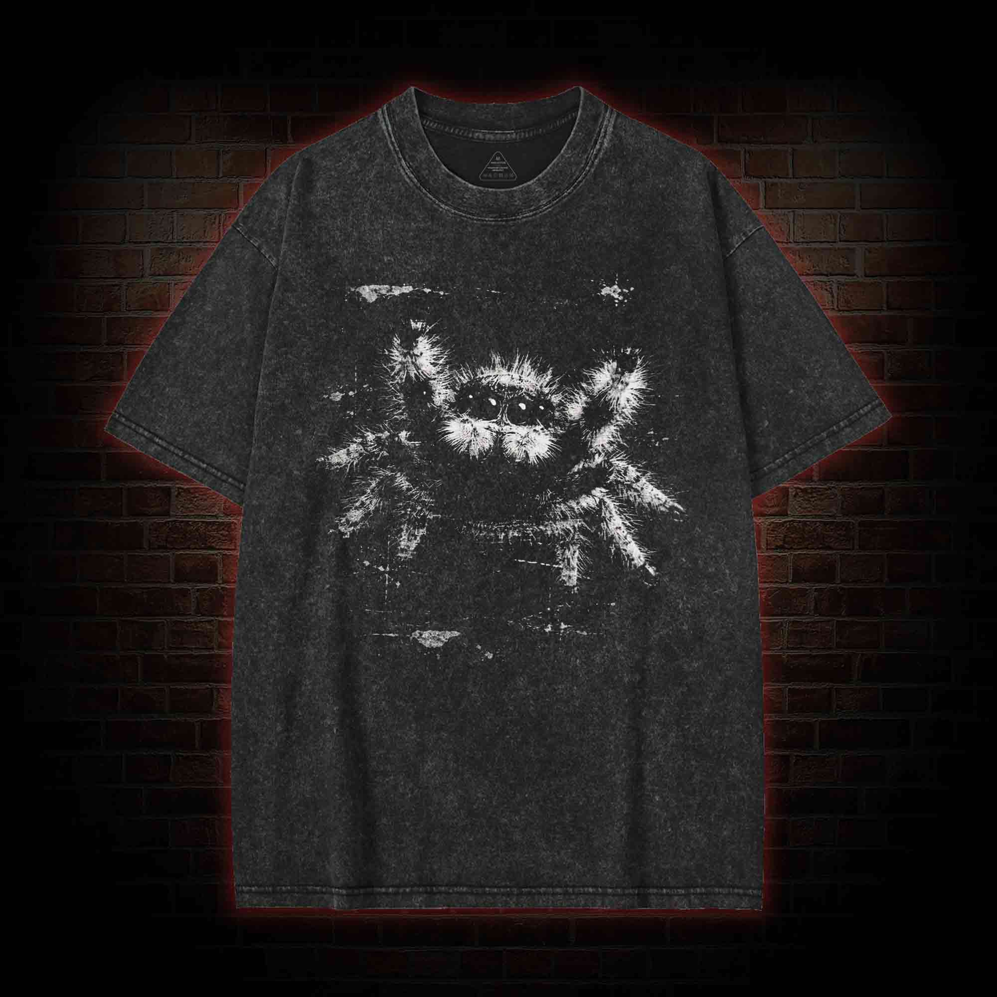 Jumping Spider Washed T-shirt