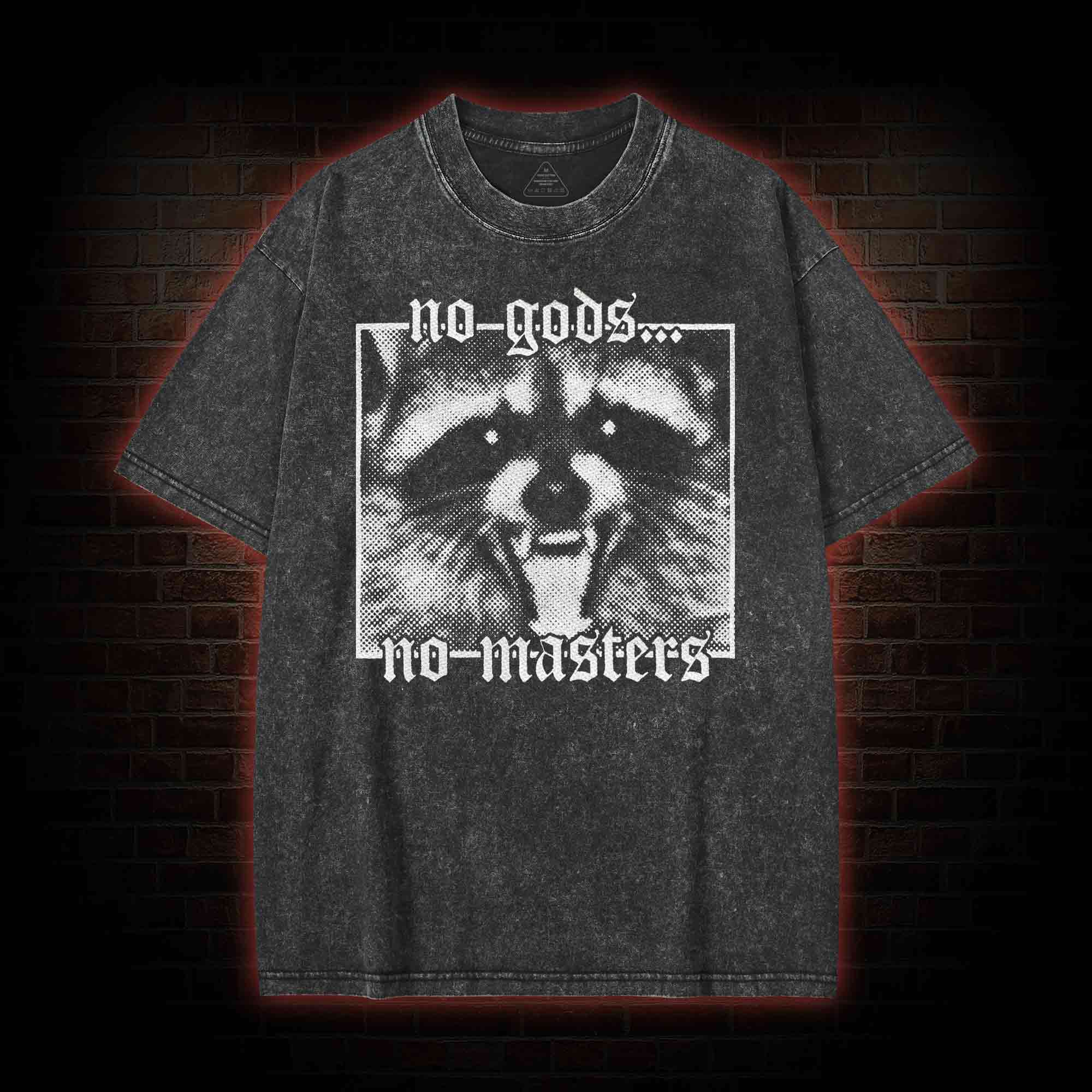 No Gods No Masters Raccoon Washed T-shirt