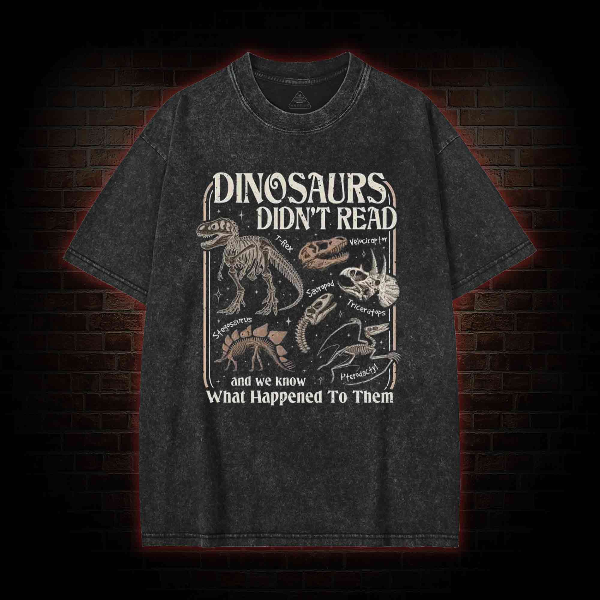 Dinosaurs Didn't Read Washed T-shirt