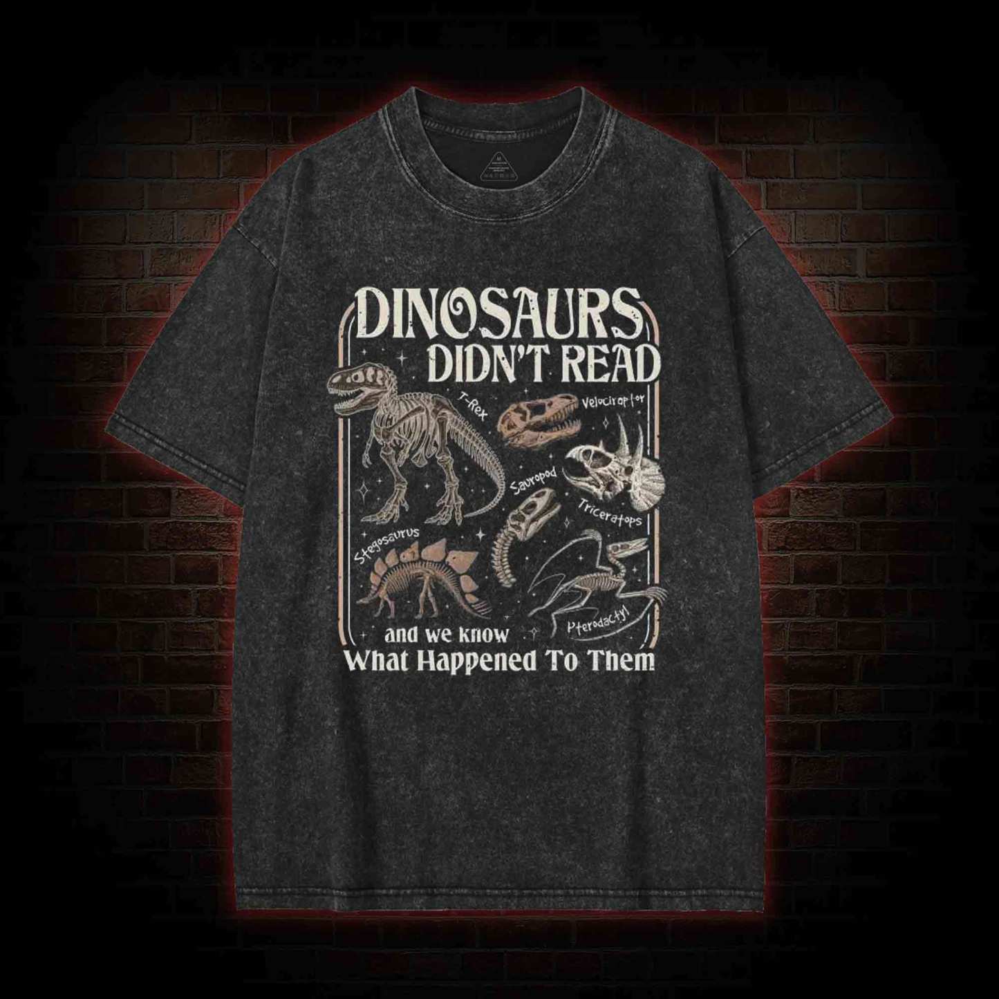Dinosaurs Didn't Read Washed T-shirt
