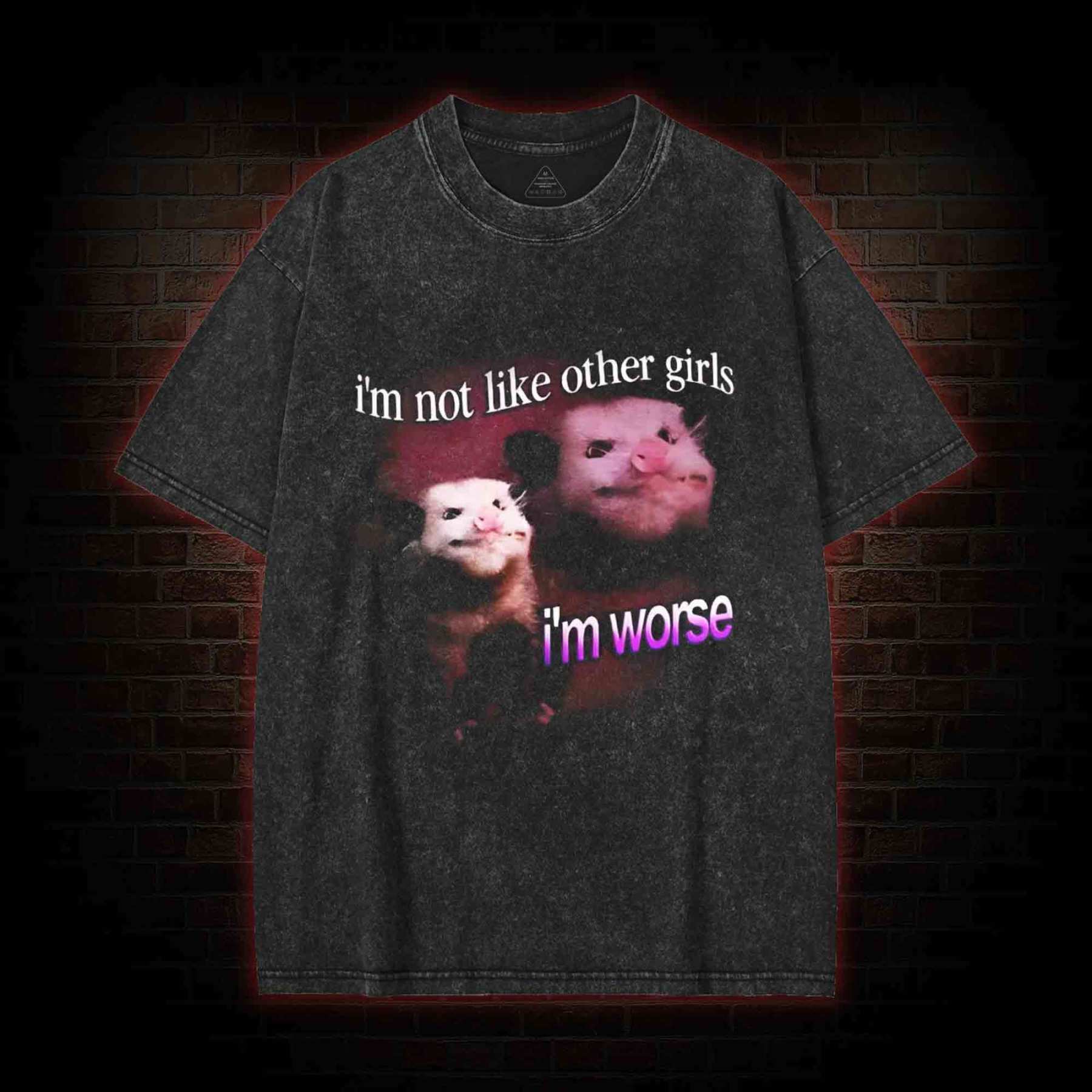 I'm Not Like Other Girls I'm Worse Washed T-shirt
