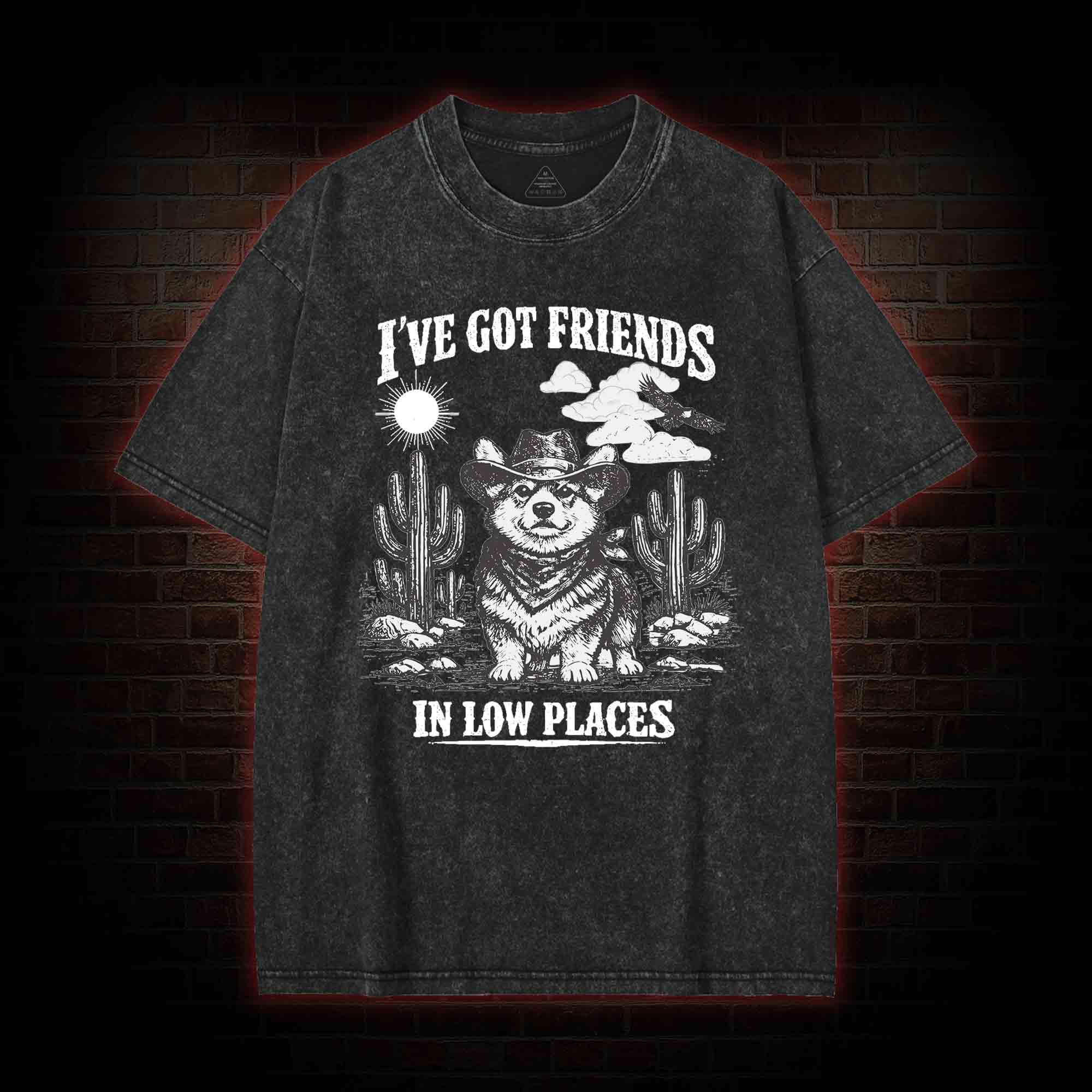I've Got Friends in Low Places Washed T-shirt