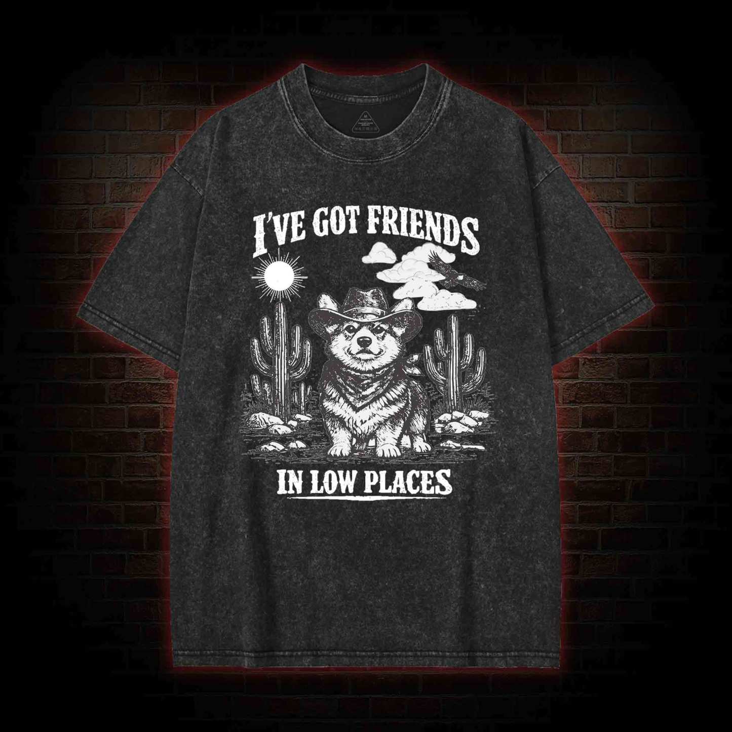 I've Got Friends in Low Places Washed T-shirt