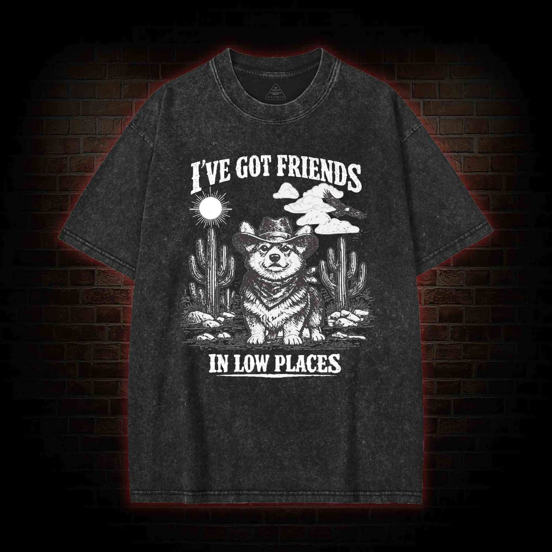 I've Got Friends in Low Places Washed T-shirt