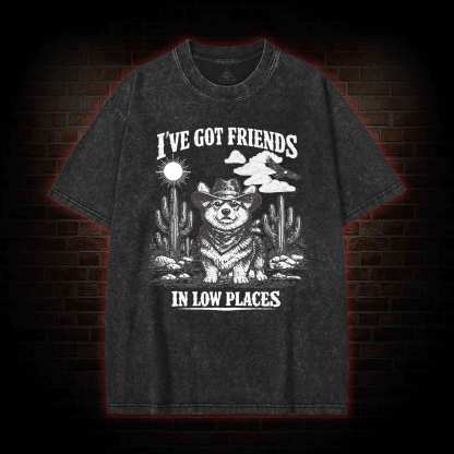 I've Got Friends in Low Places Washed T-shirt