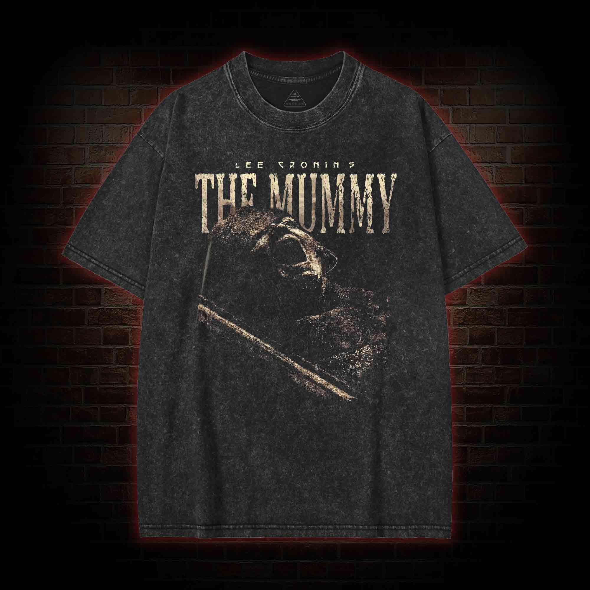 Death is Only the Beginning Washed T-shirt