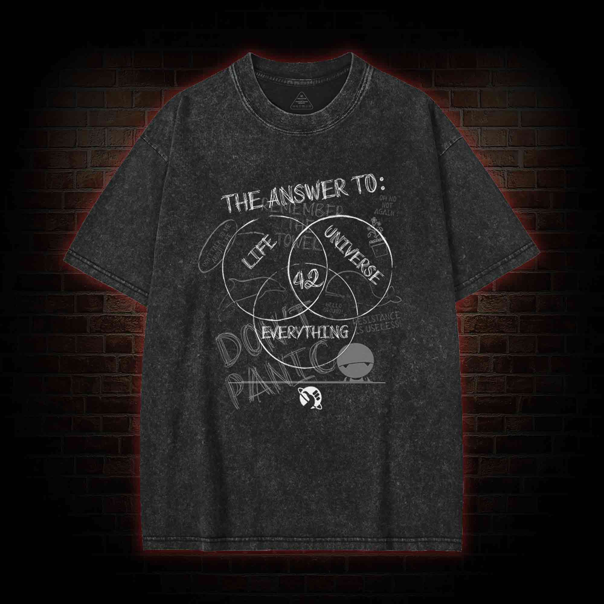 Life Universe Everything Washed T-shirt