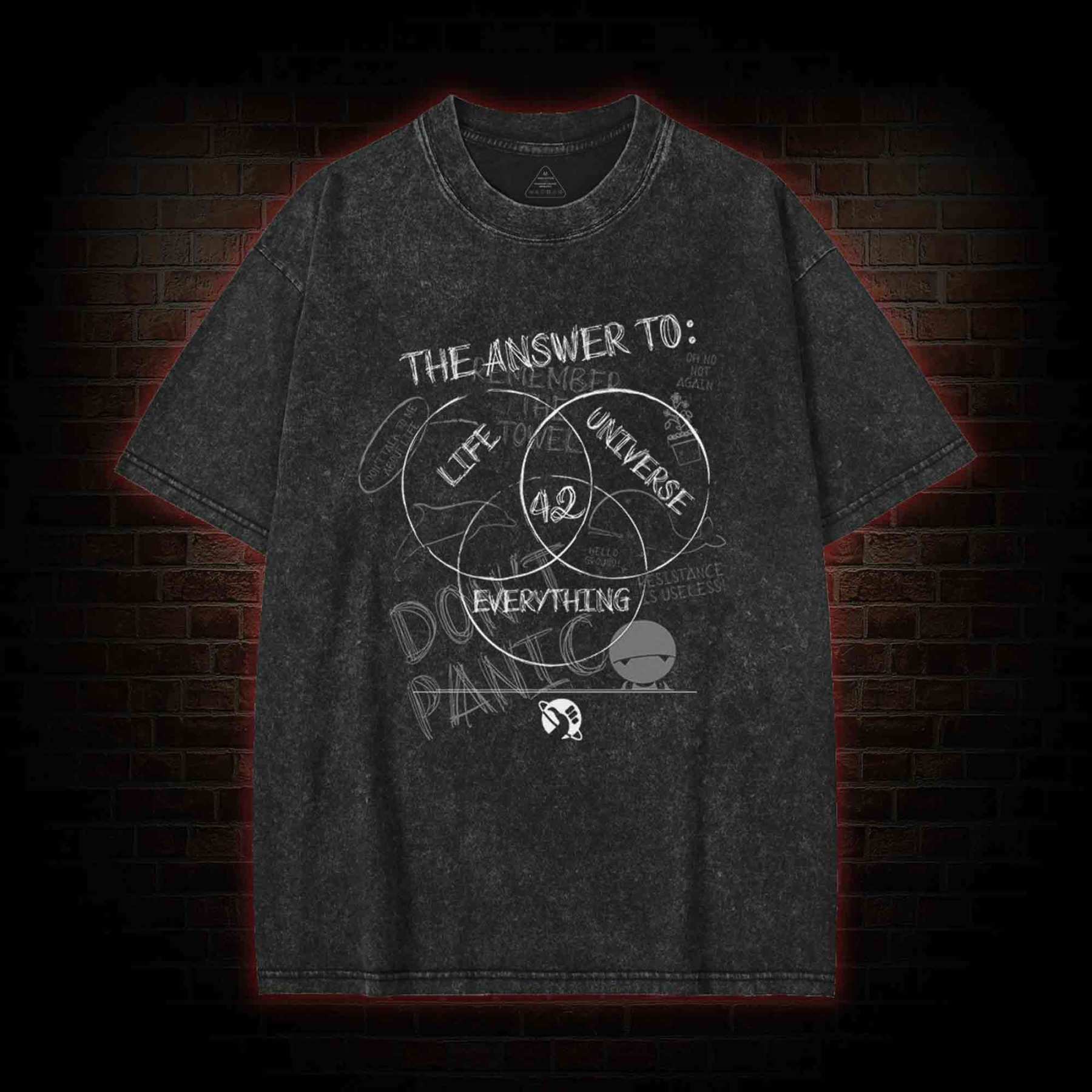 Life Universe Everything Washed T-shirt