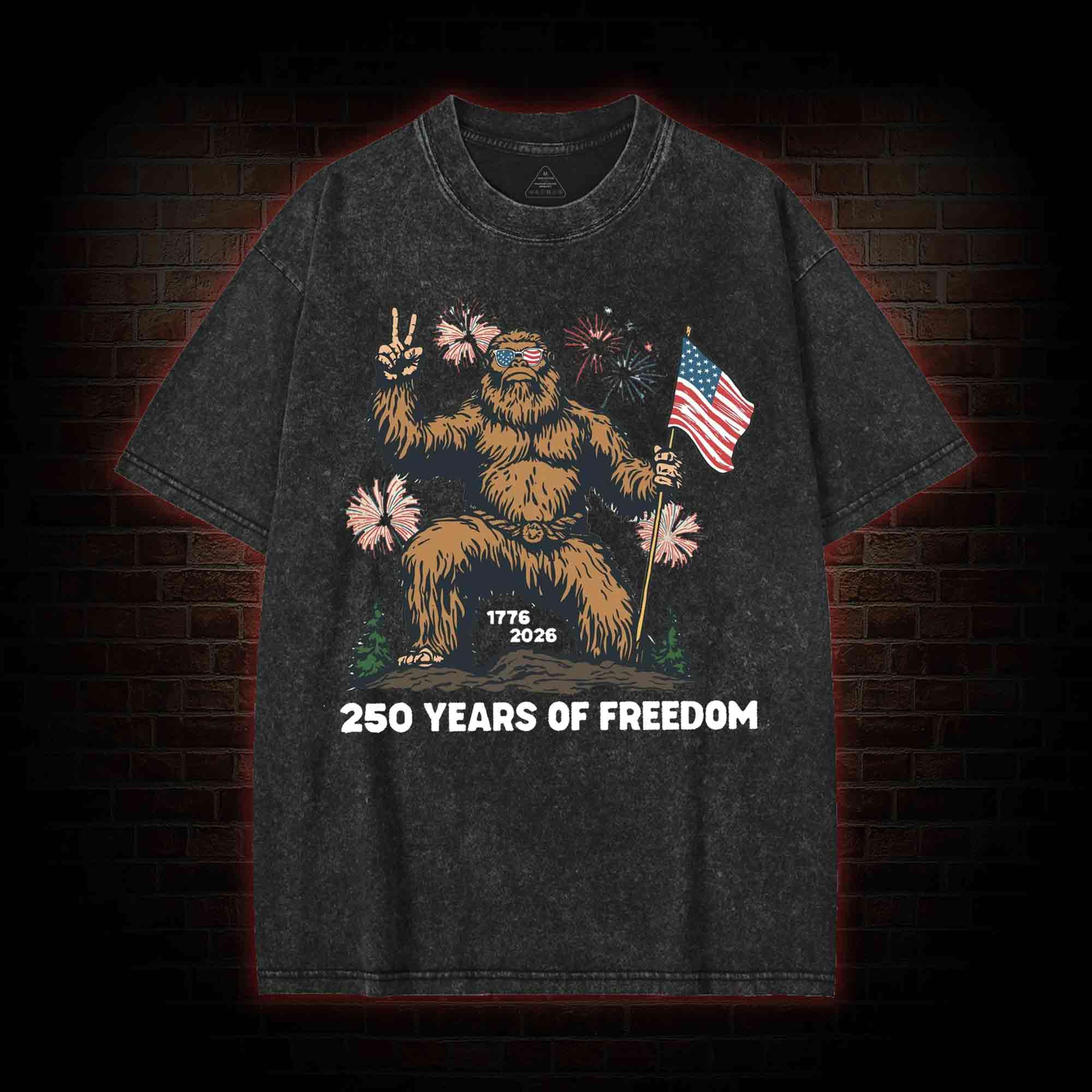 250 Years of Freedom Washed T-shirt