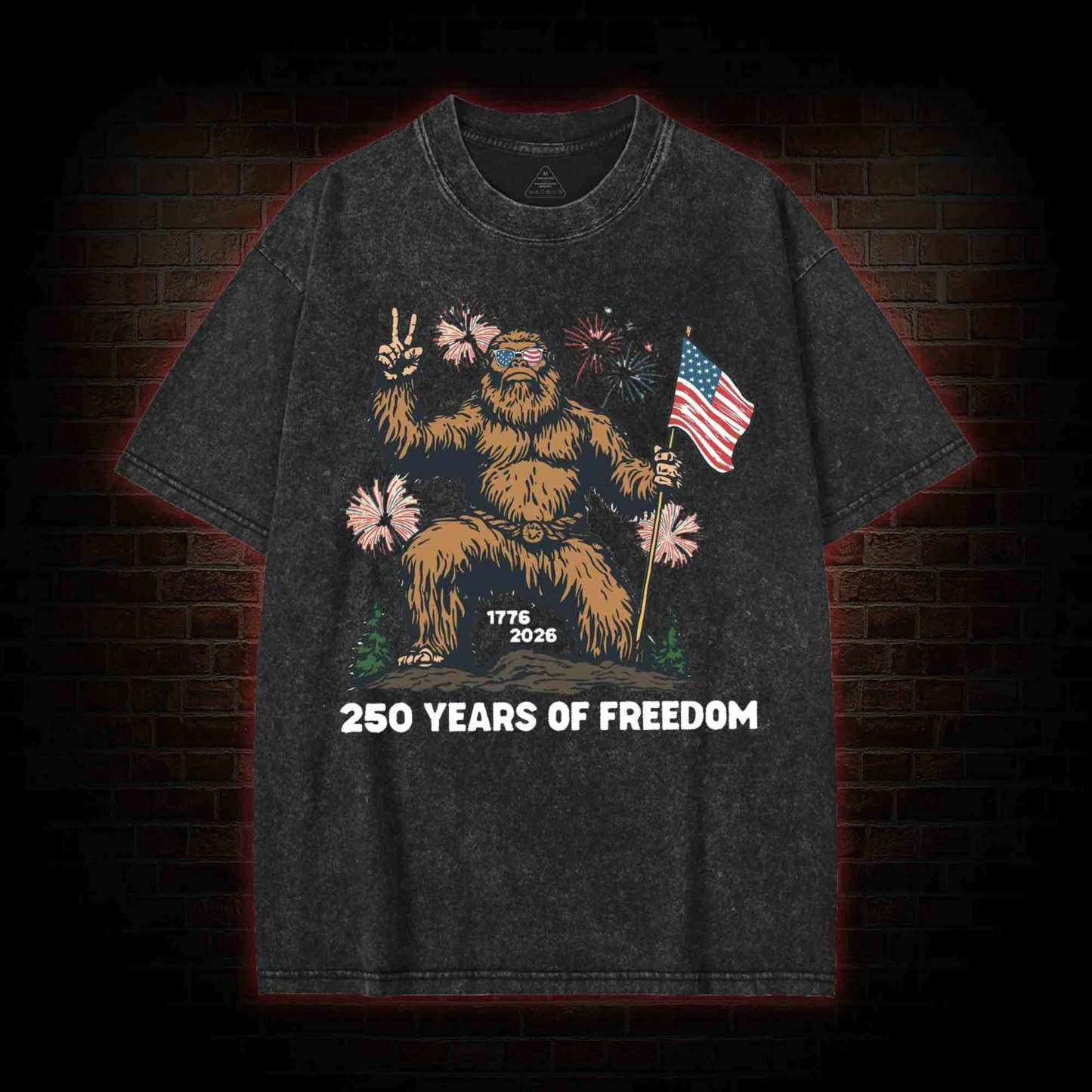 250 Years of Freedom Washed T-shirt