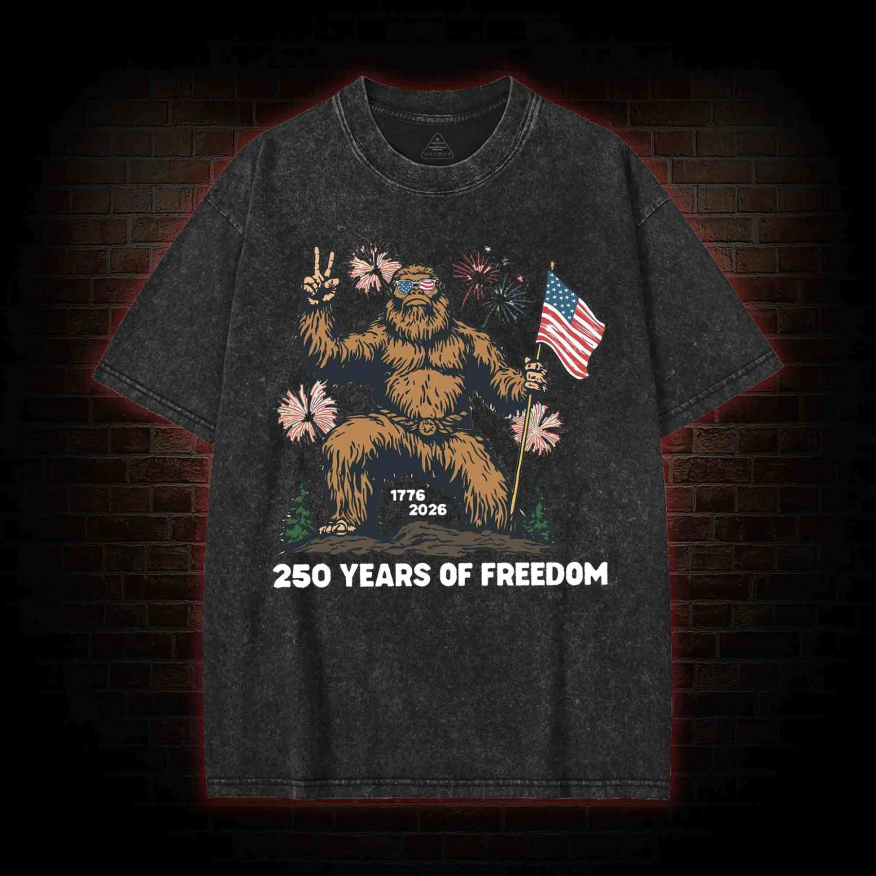 250 Years of Freedom Washed T-shirt