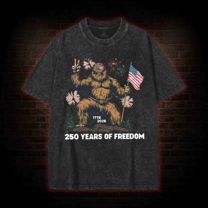 250 Years of Freedom Washed T-shirt